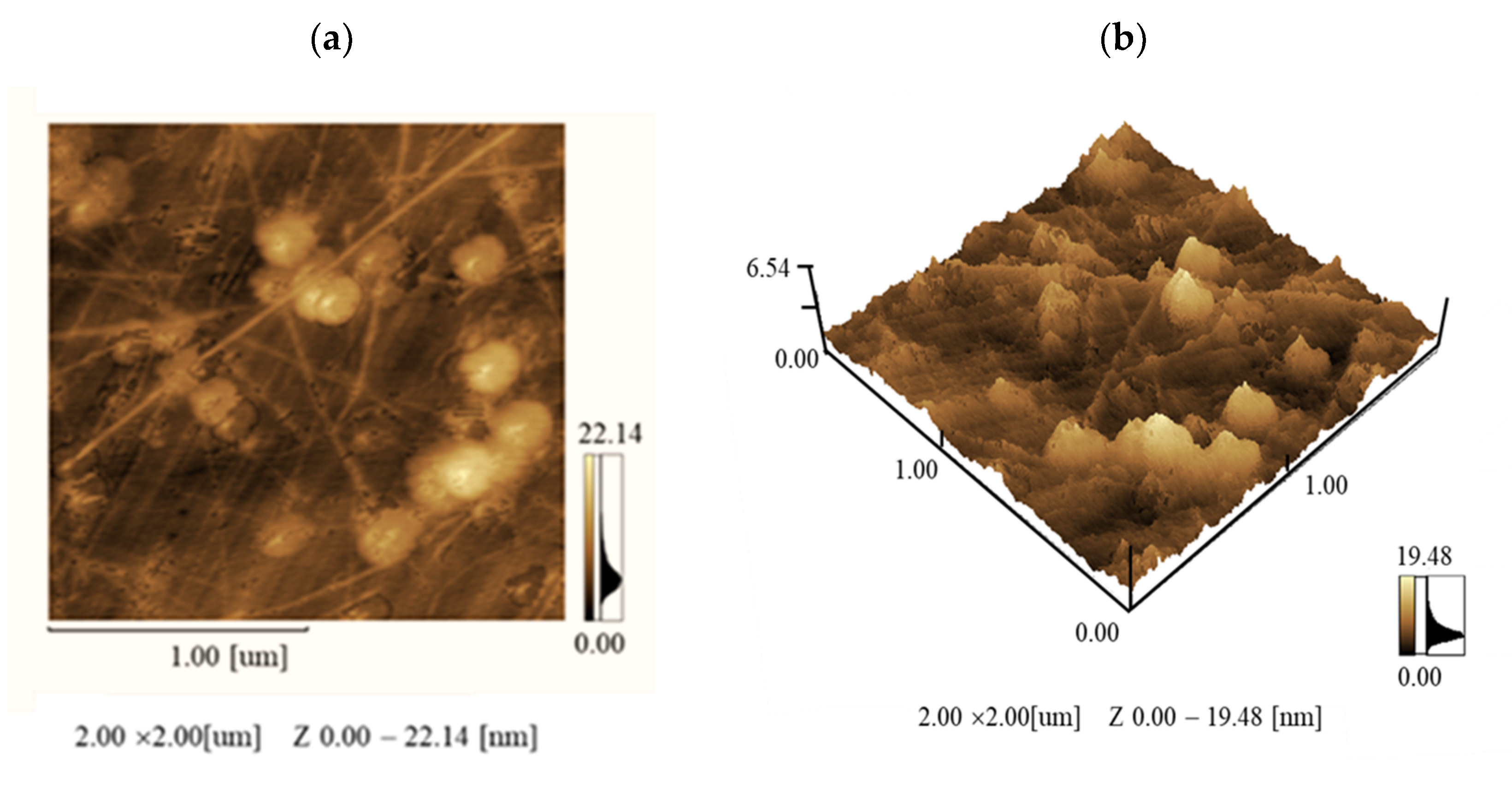 Coatings 10 01050 g001 Coatings 10 01050 g001