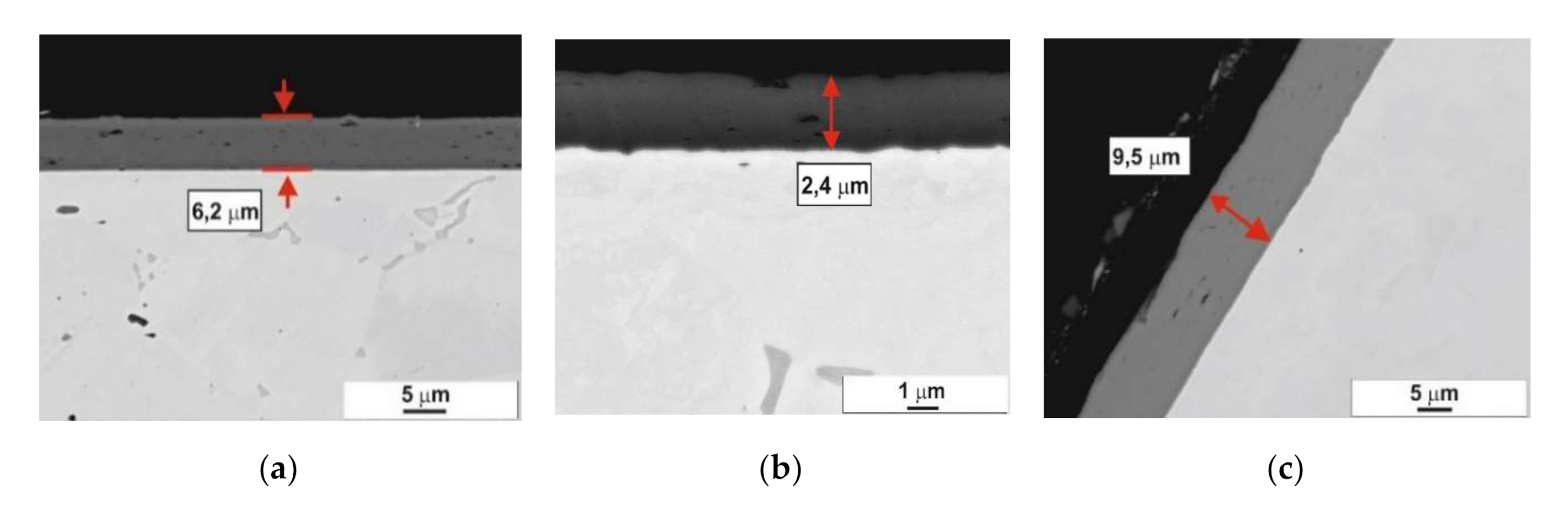 Coatings 10 01054 g004 Coatings 10 01054 g004