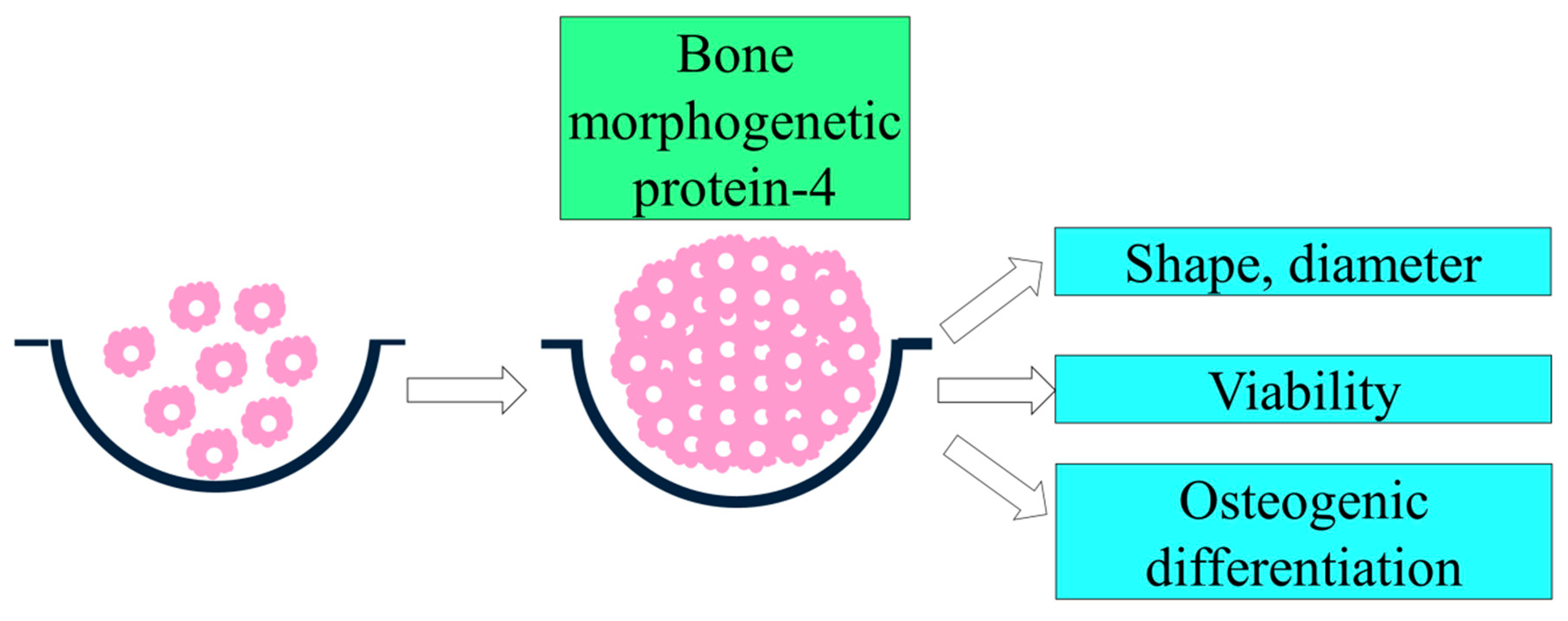 Coatings 10 01055 g001