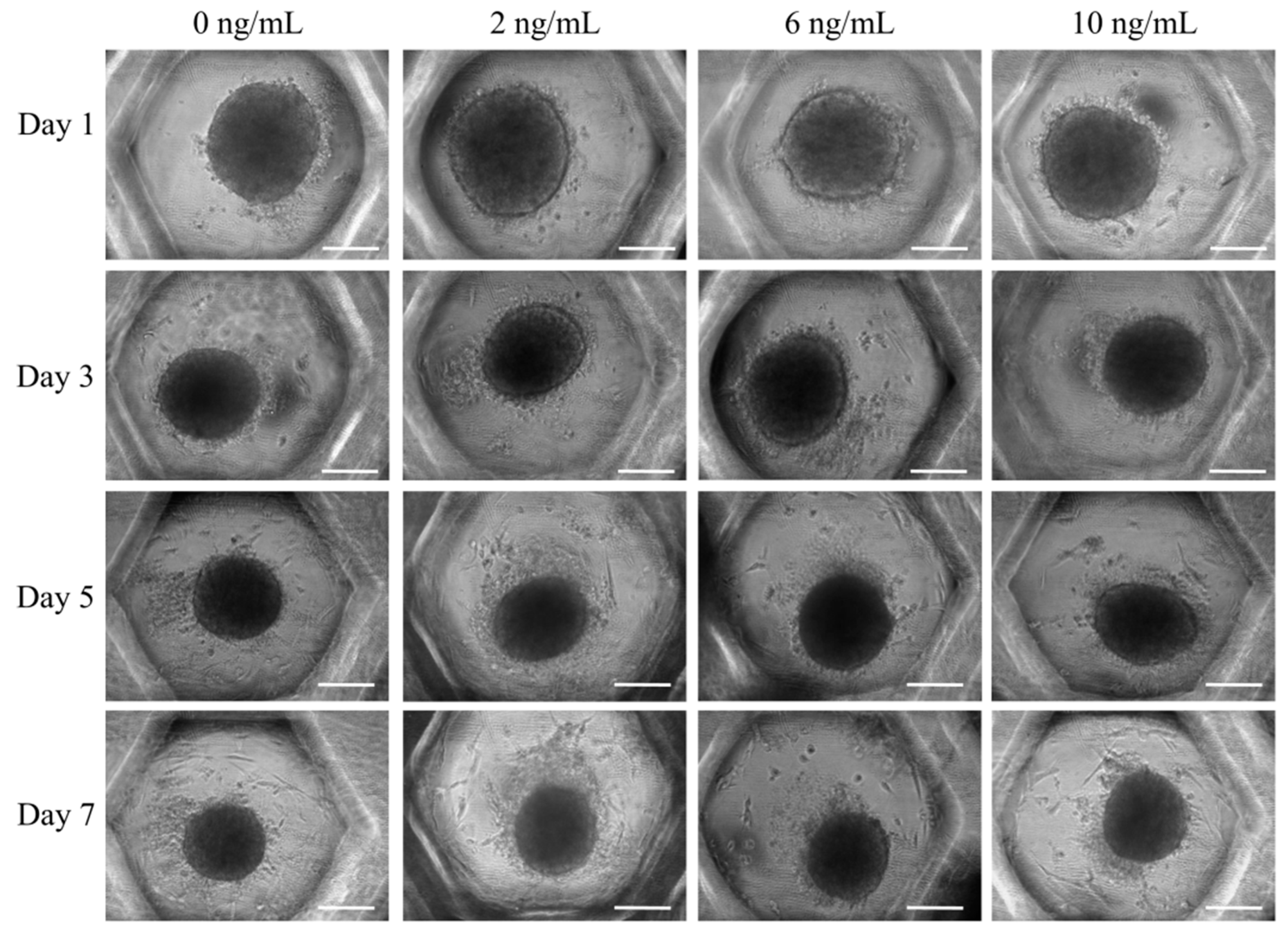 Coatings 10 01055 g002