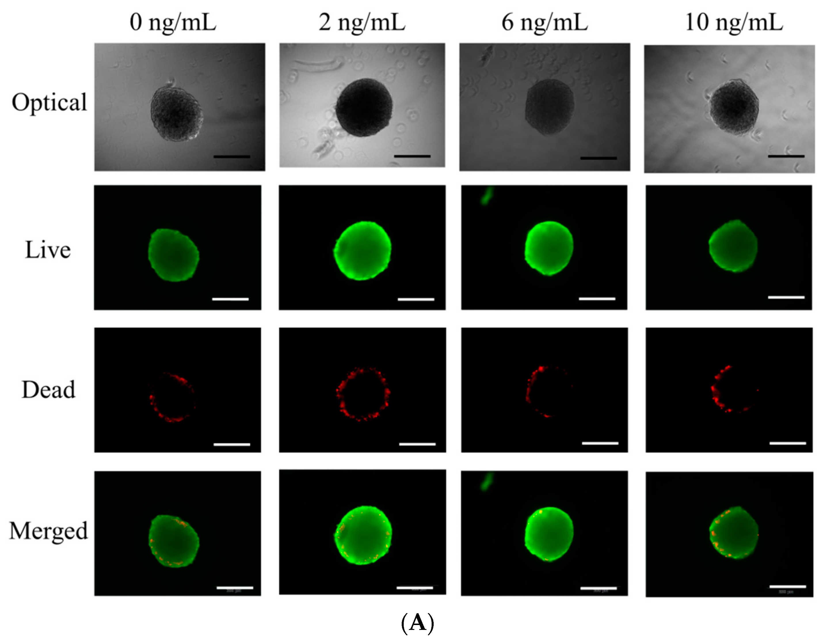 Coatings 10 01055 g004a