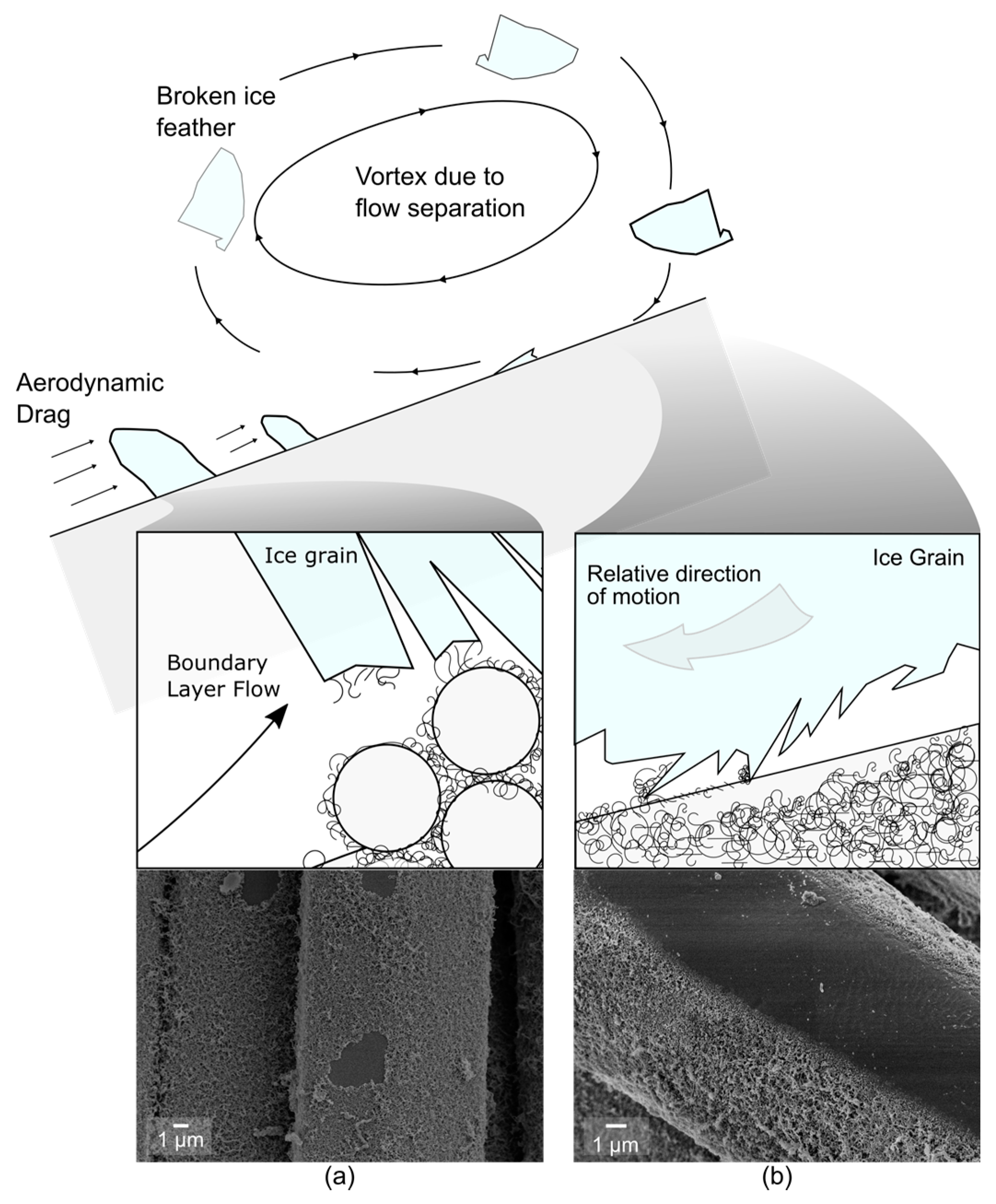 Coatings 10 01058 g009