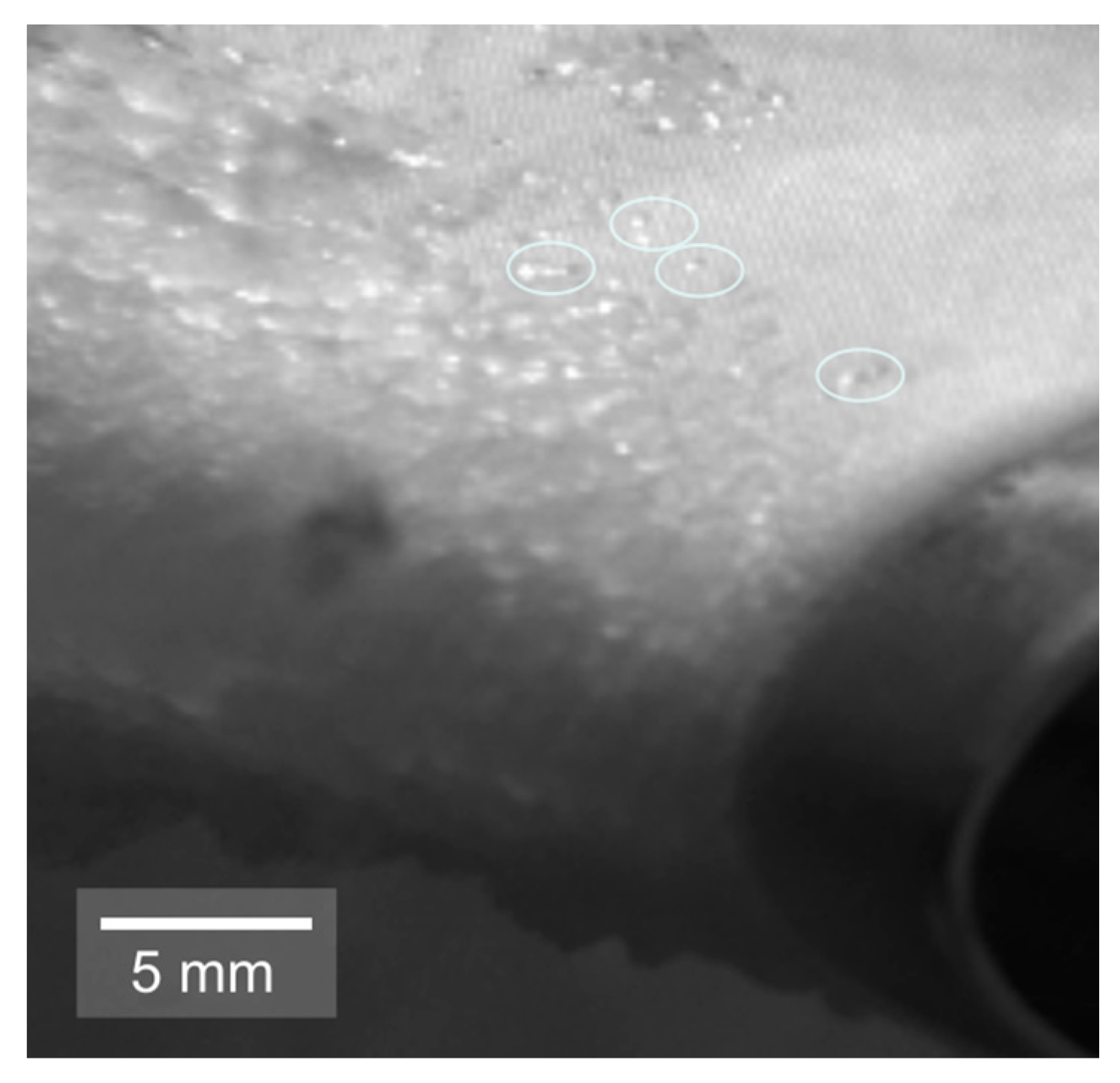 Coatings 10 01058 g0a3