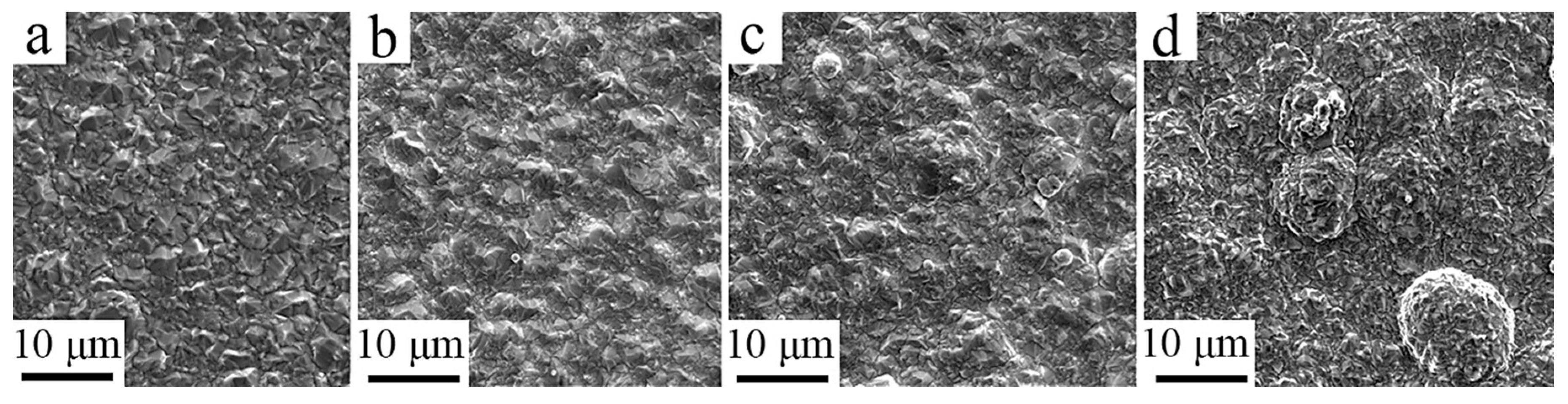 Coatings 10 01060 g001