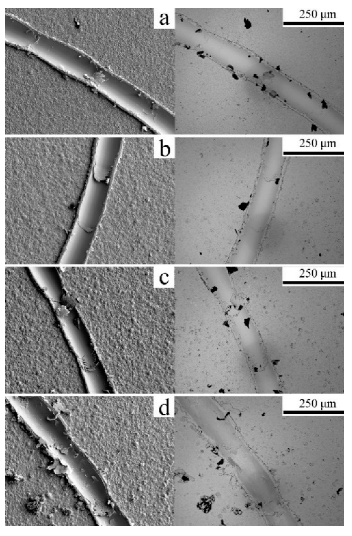 Coatings 10 01060 g007