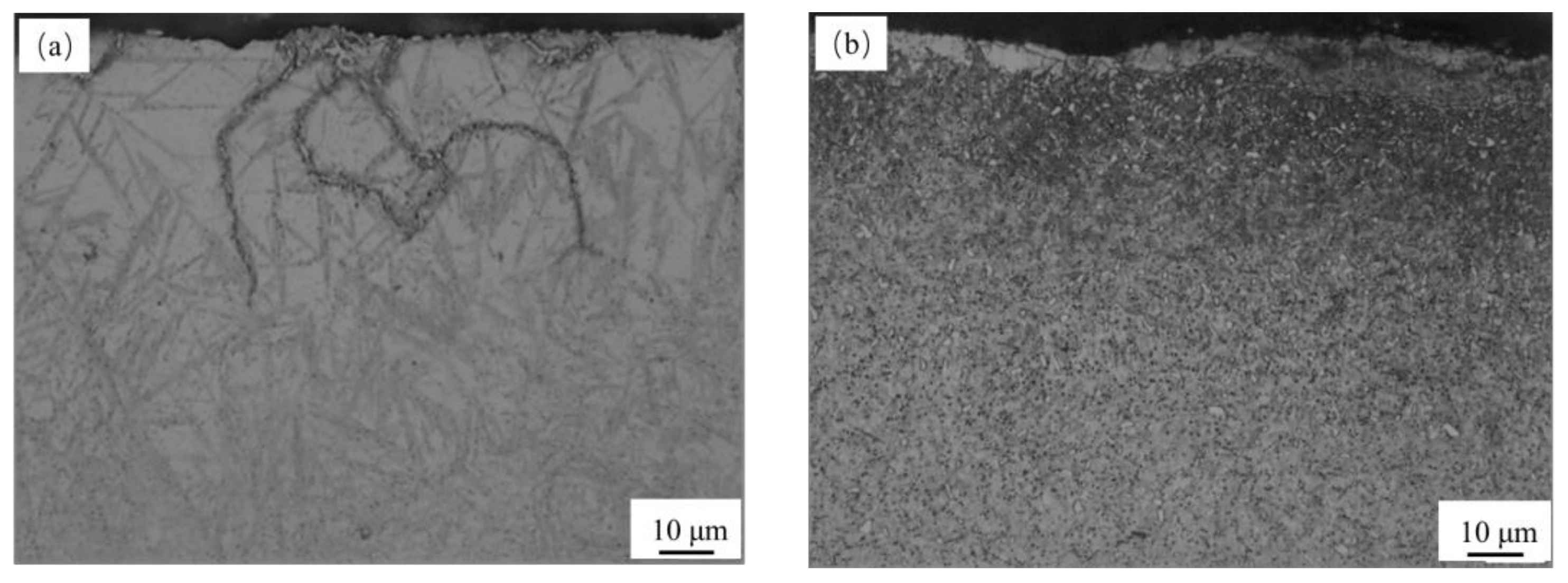 Coatings 10 01075 g005