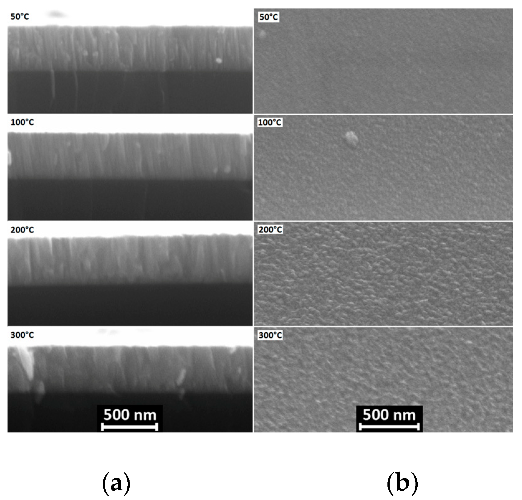 Coatings 10 01076 g002 Coatings 10 01076 g002