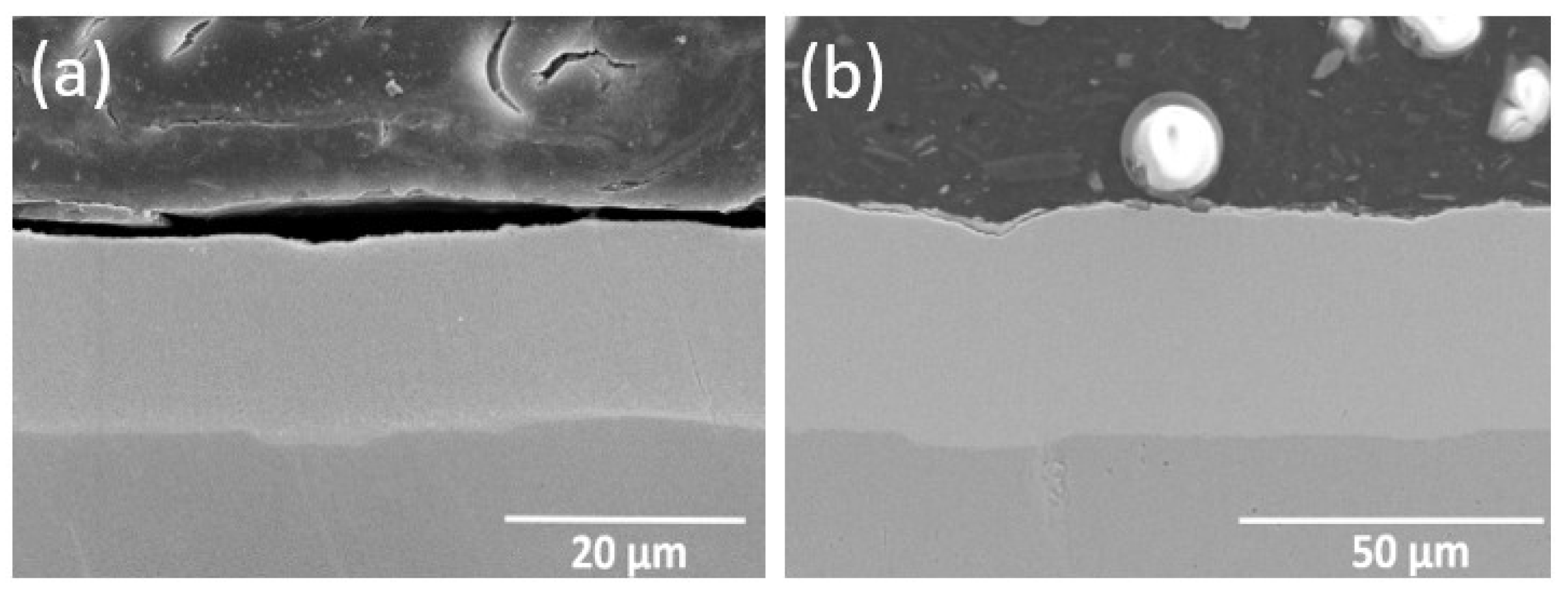 Coatings 10 01082 g003 Coatings 10 01082 g003