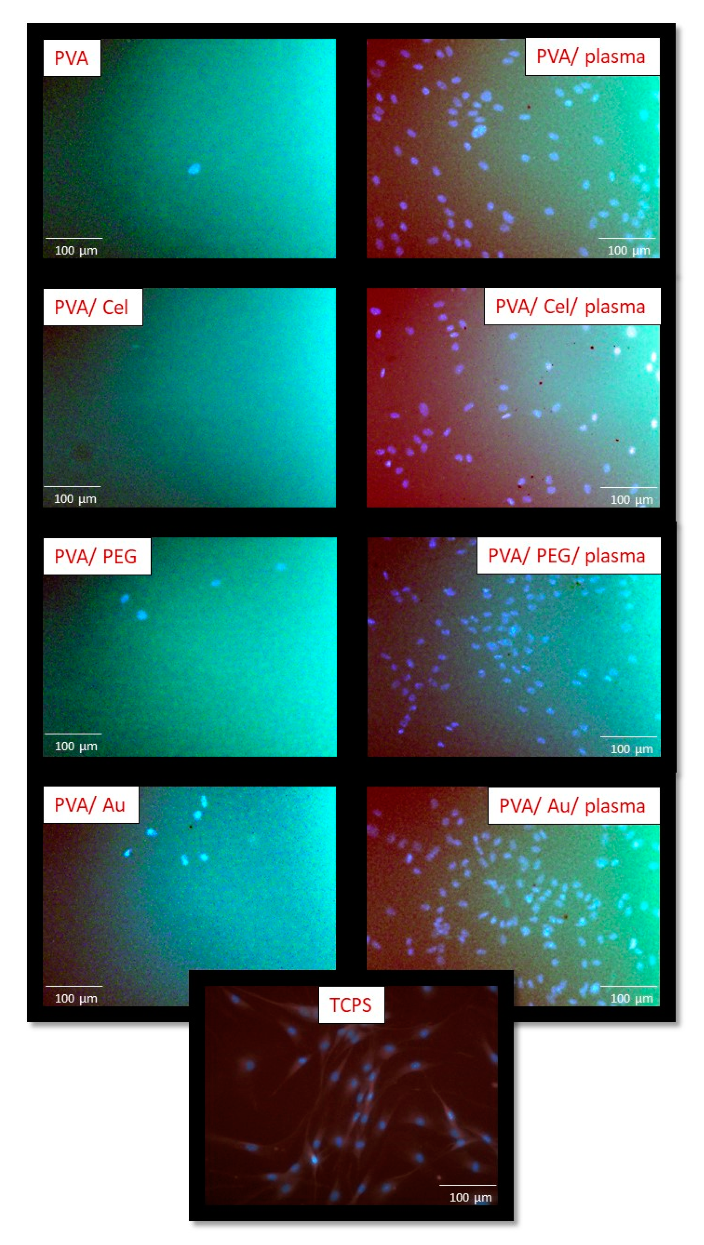 Coatings 10 01083 g006 Coatings 10 01083 g006