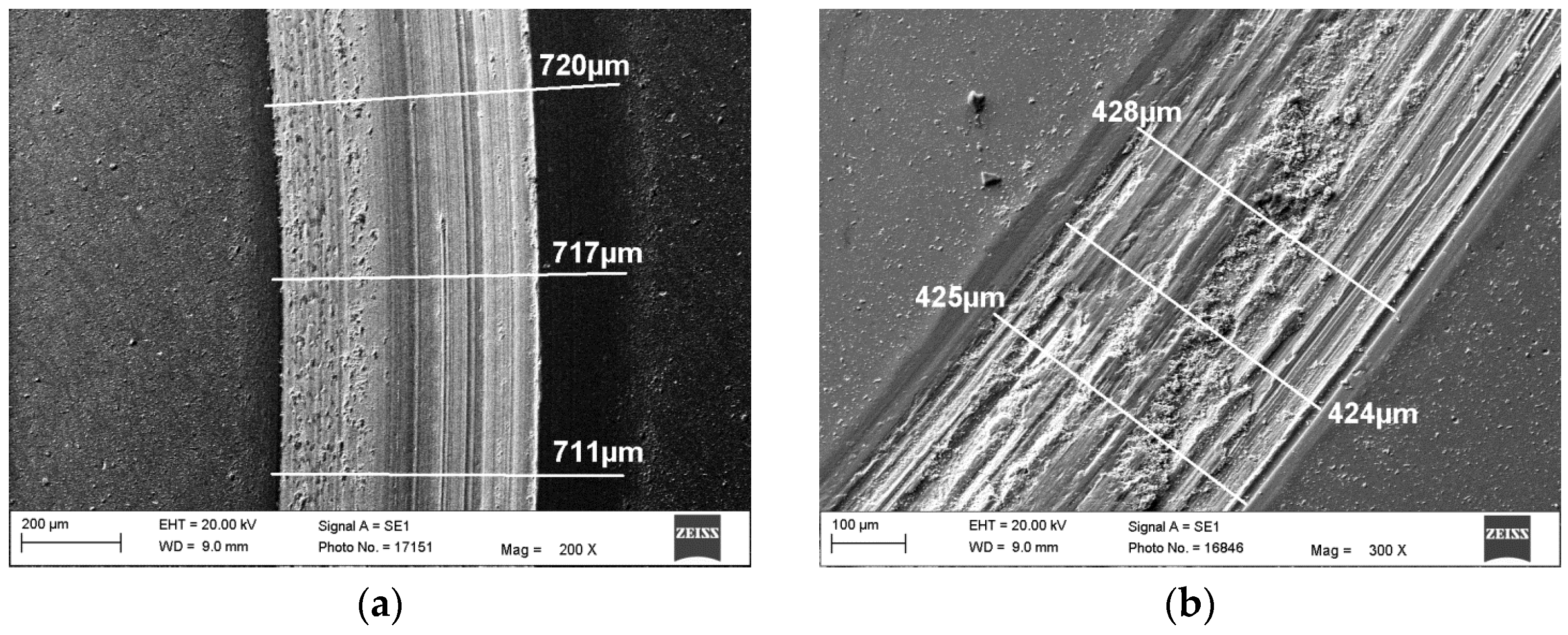 Coatings 10 01084 g016