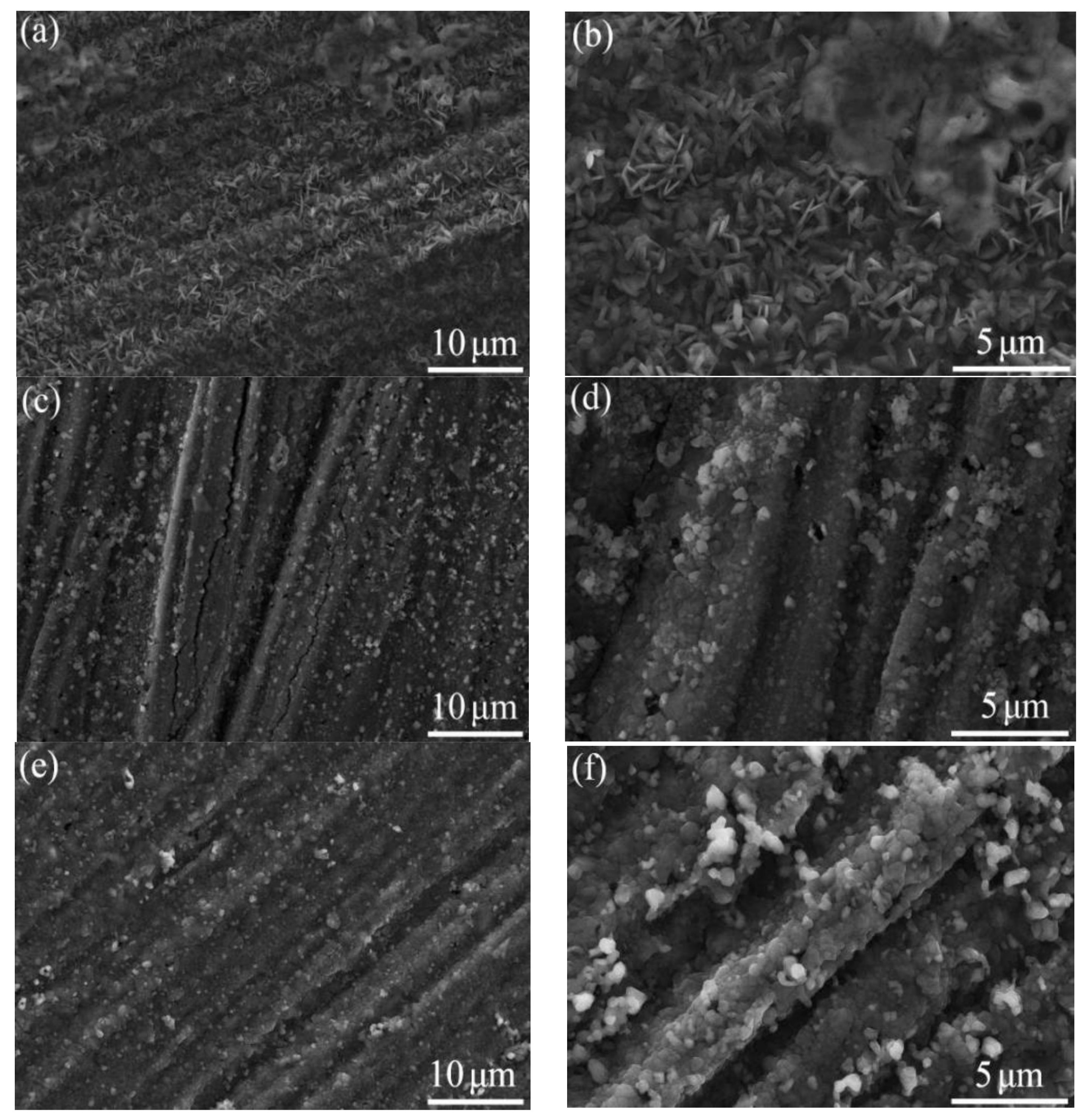 Coatings 10 01089 g008a Coatings 10 01089 g008a