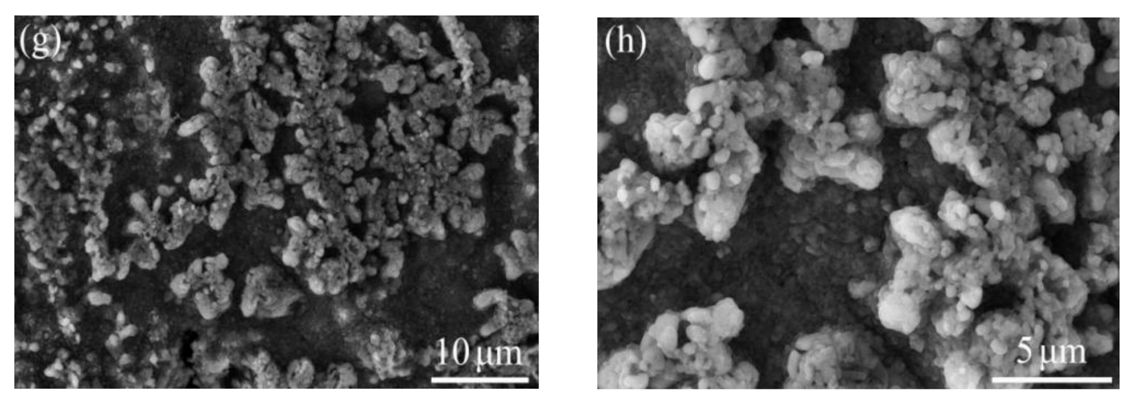 Coatings 10 01089 g008b Coatings 10 01089 g008b