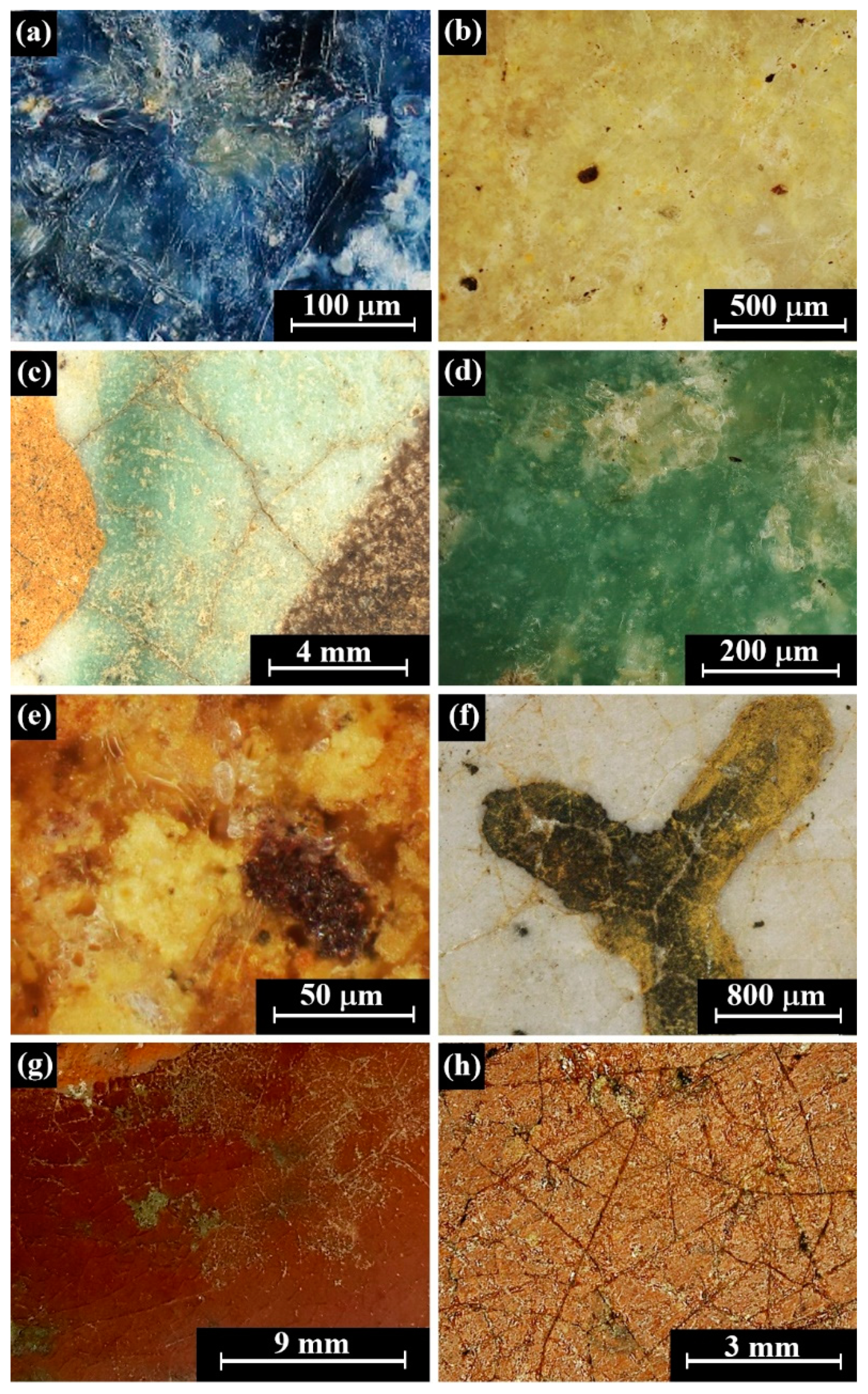 Coatings 10 01091 g003