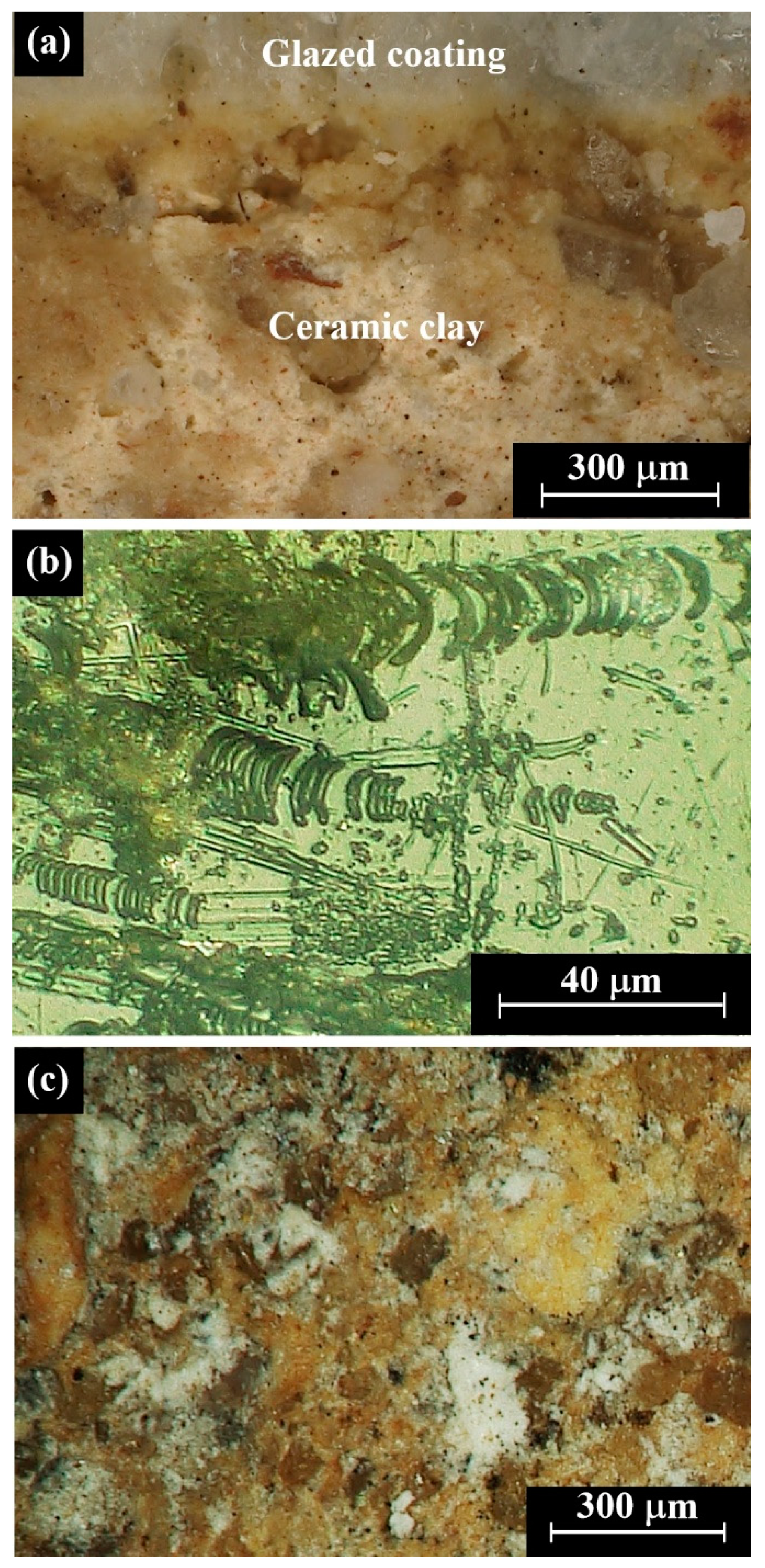 Coatings 10 01091 g004