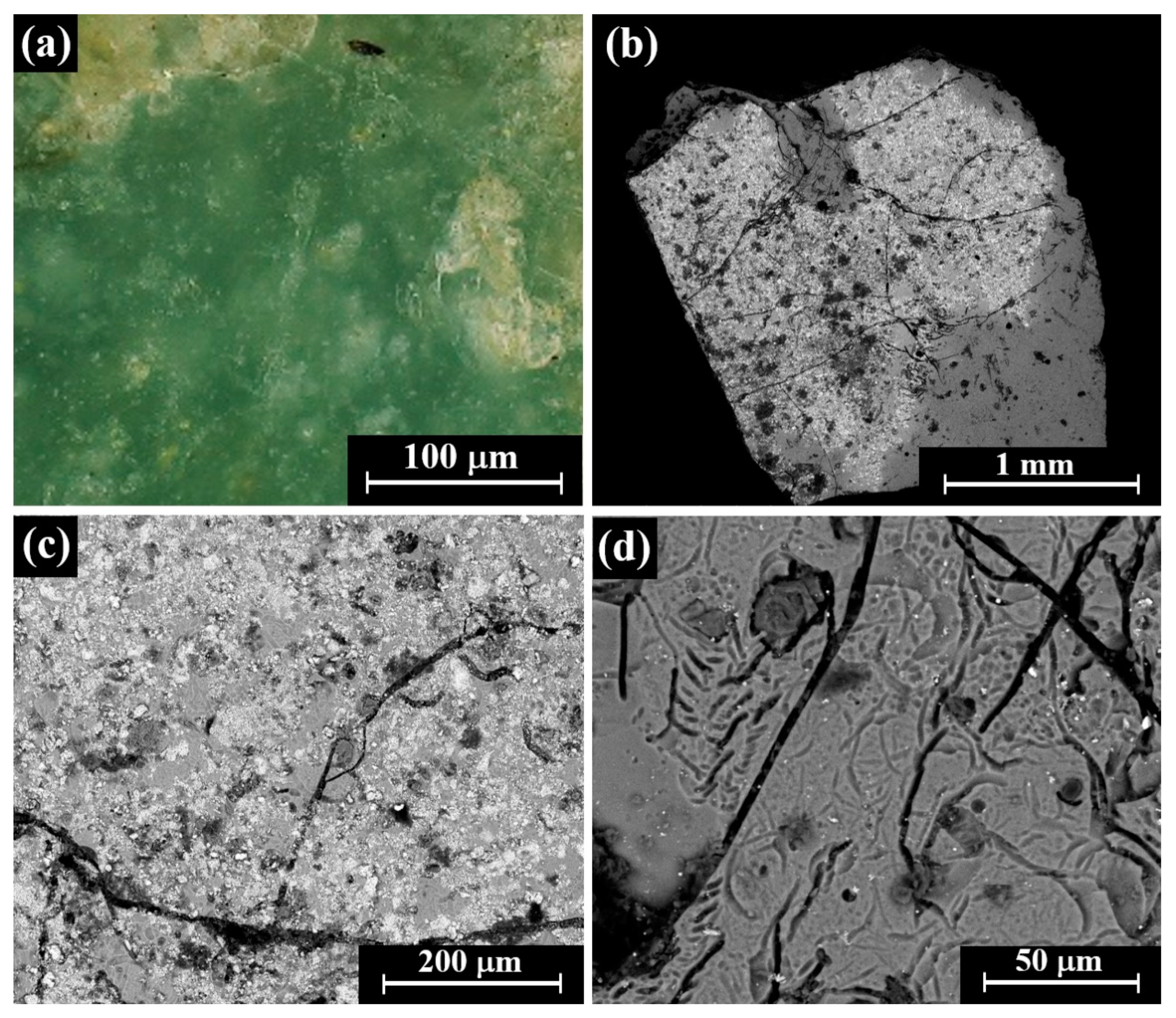 Coatings 10 01091 g010