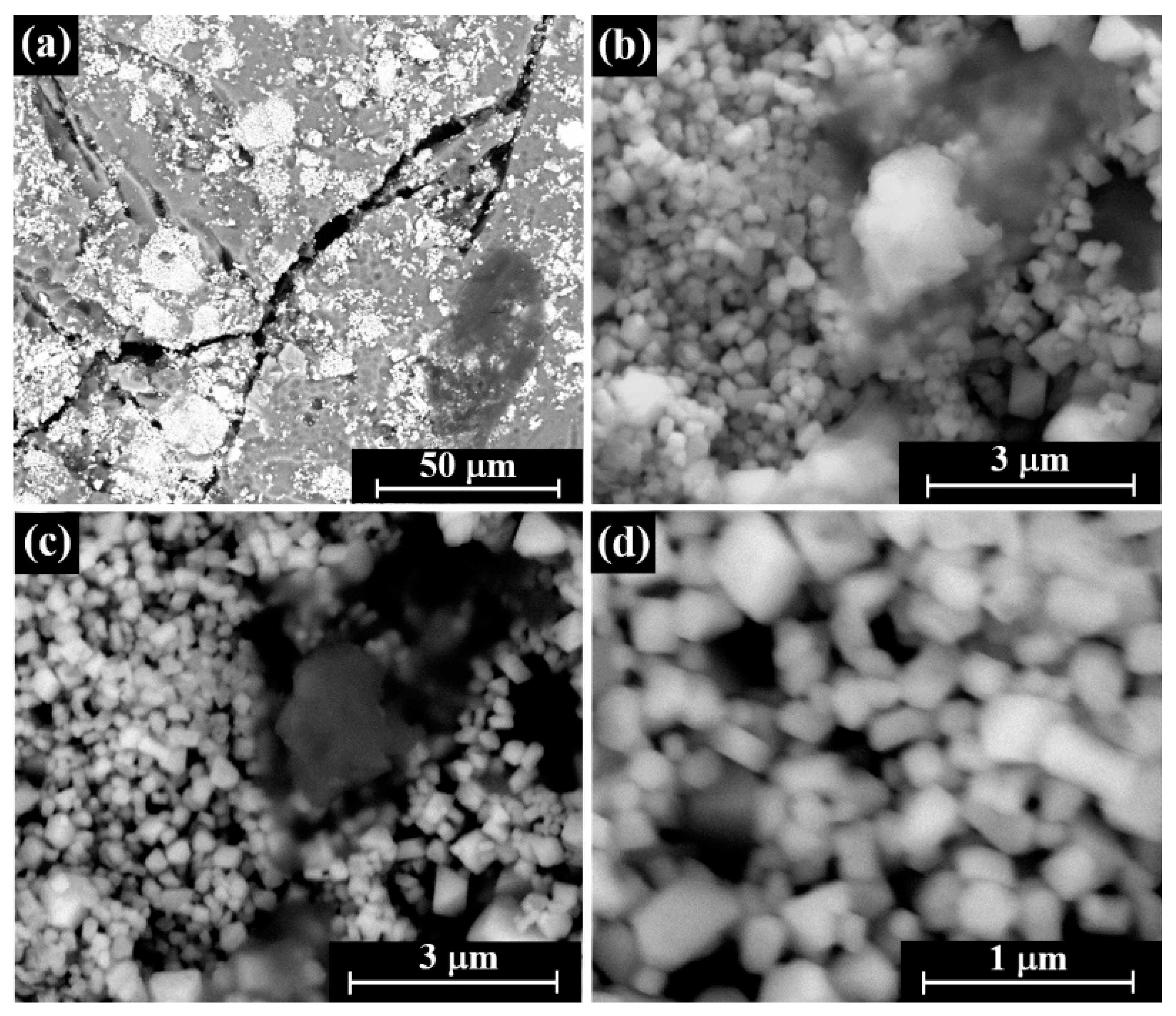 Coatings 10 01091 g011