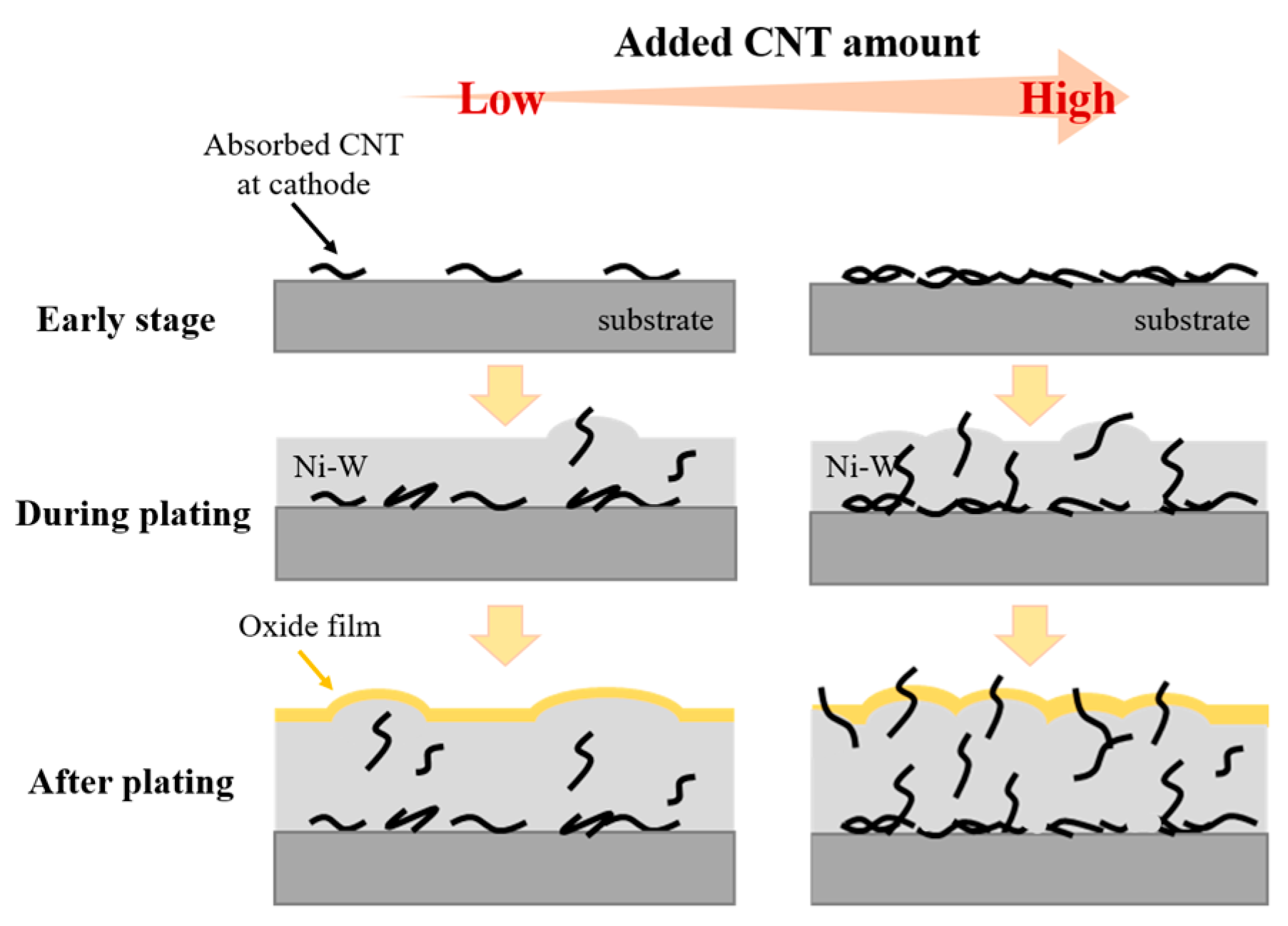 Coatings 10 01095 g005 Coatings 10 01095 g005
