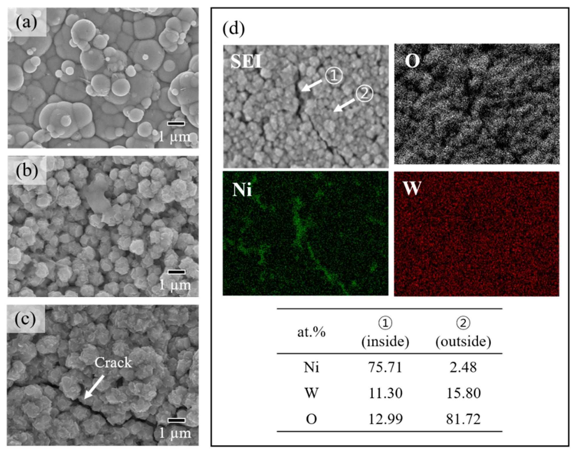 Coatings 10 01095 g011 Coatings 10 01095 g011
