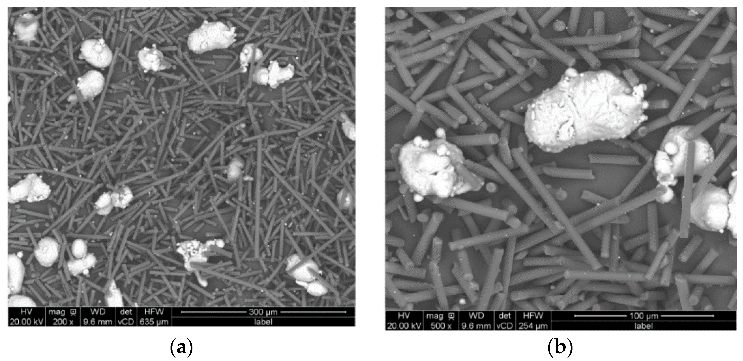 Coatings 10 01096 g001