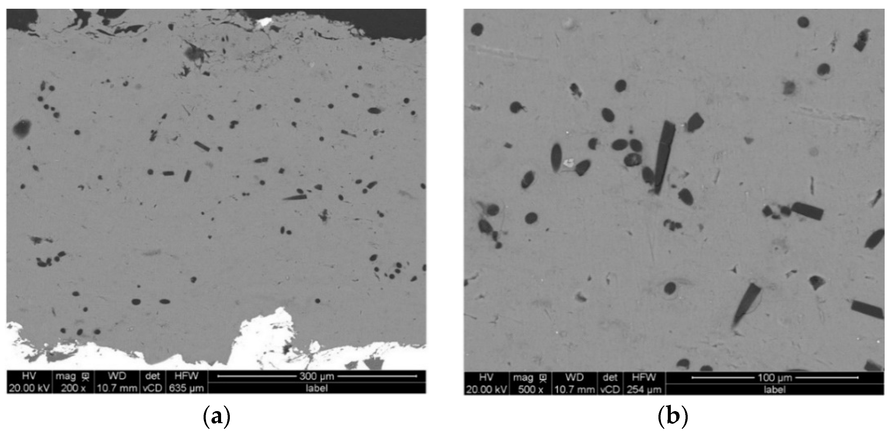 Coatings 10 01096 g003
