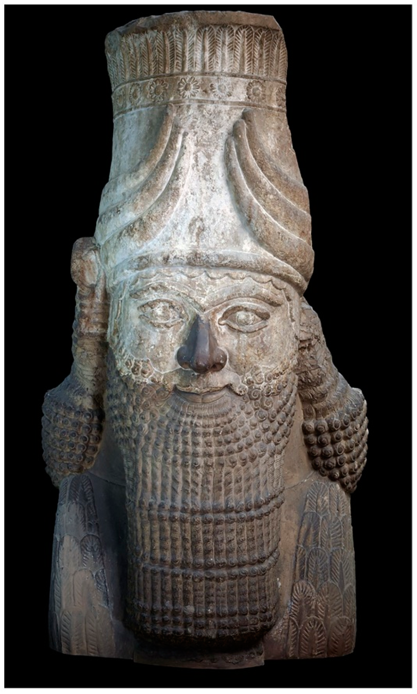 Coatings 10 01099 g001 Coatings 10 01099 g001