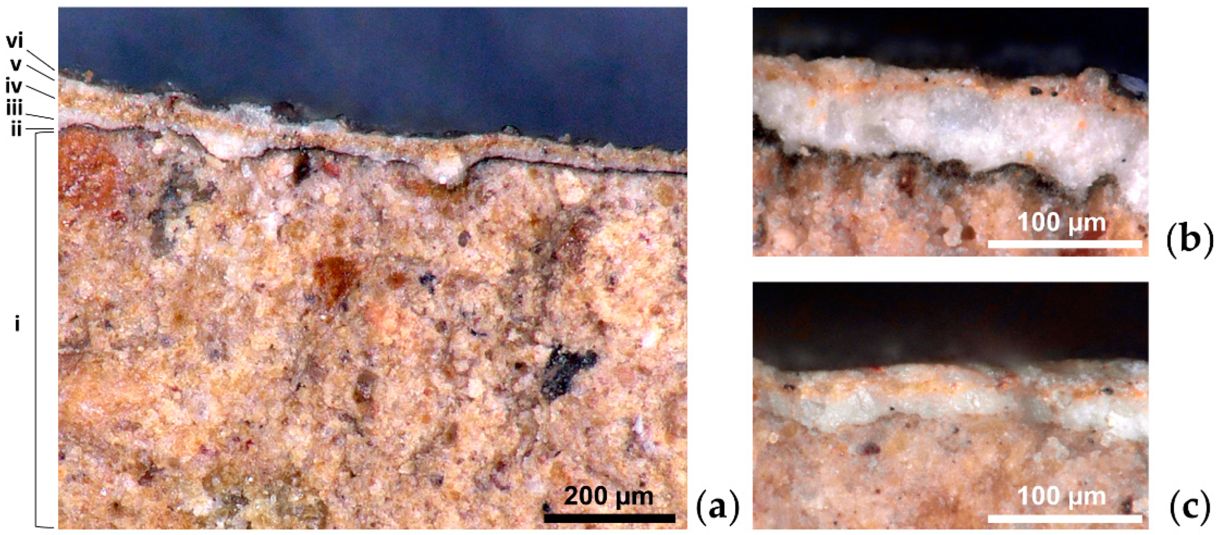 Coatings 10 01099 g002 Coatings 10 01099 g002