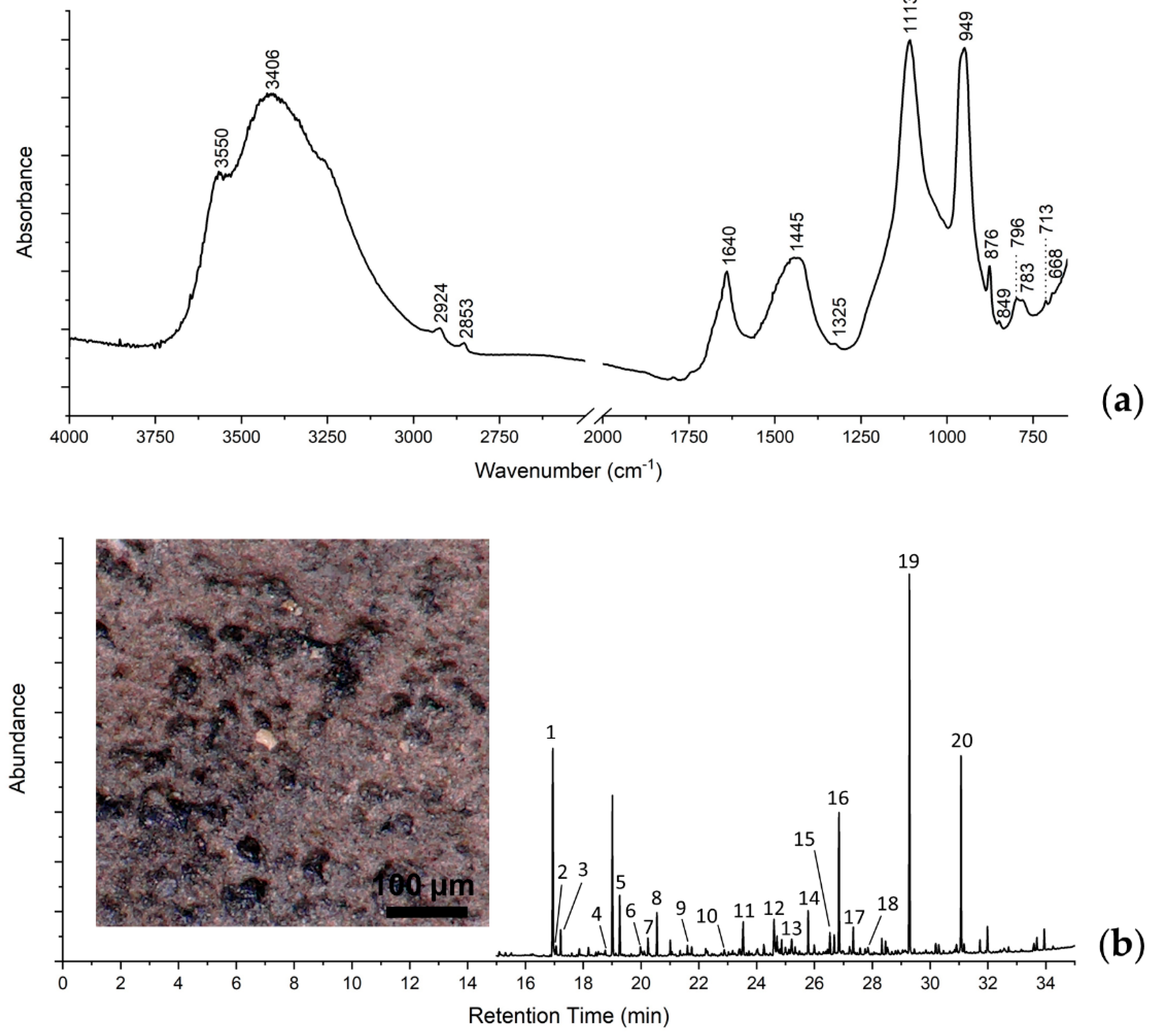 Coatings 10 01099 g004 Coatings 10 01099 g004