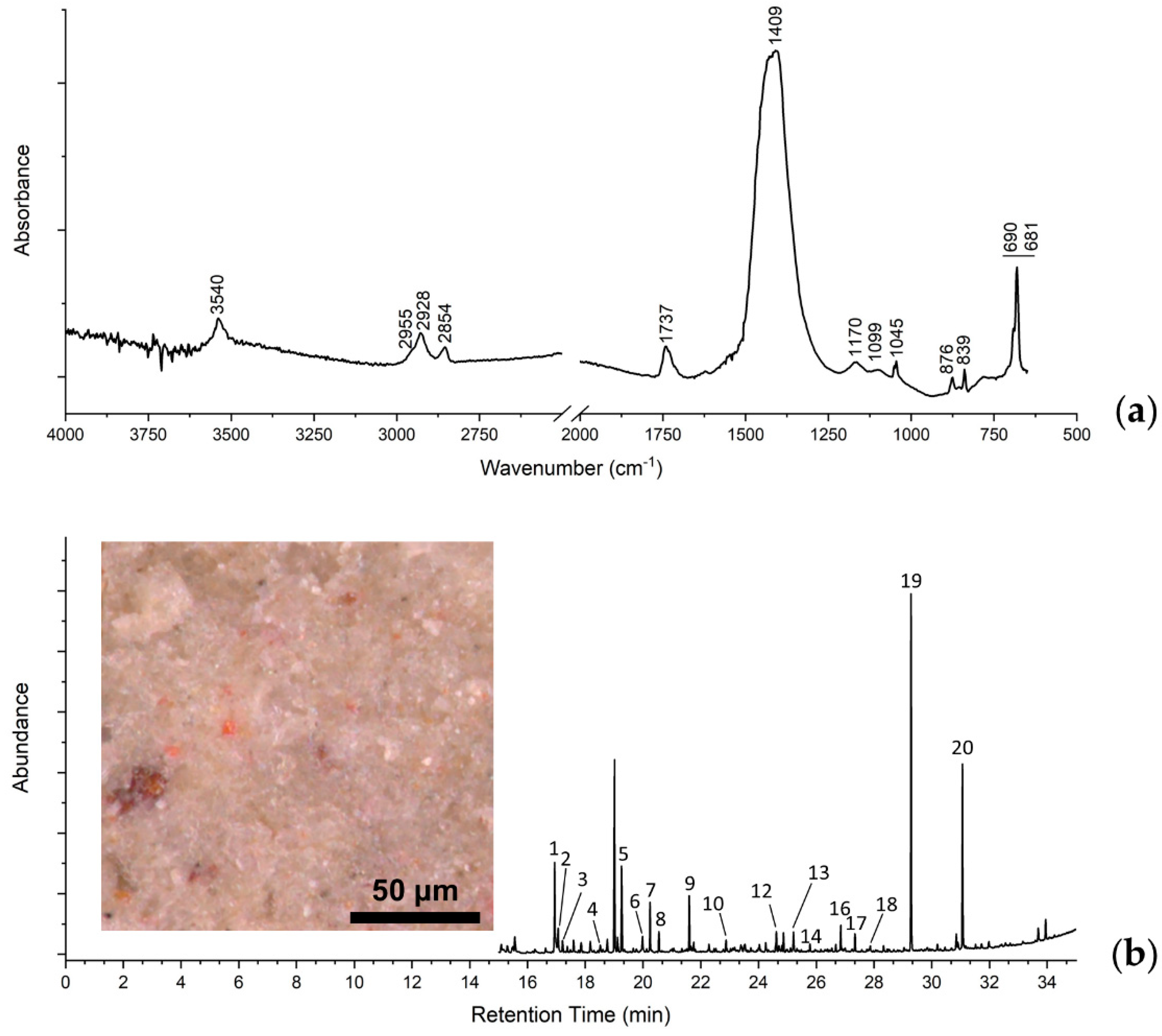 Coatings 10 01099 g008 Coatings 10 01099 g008