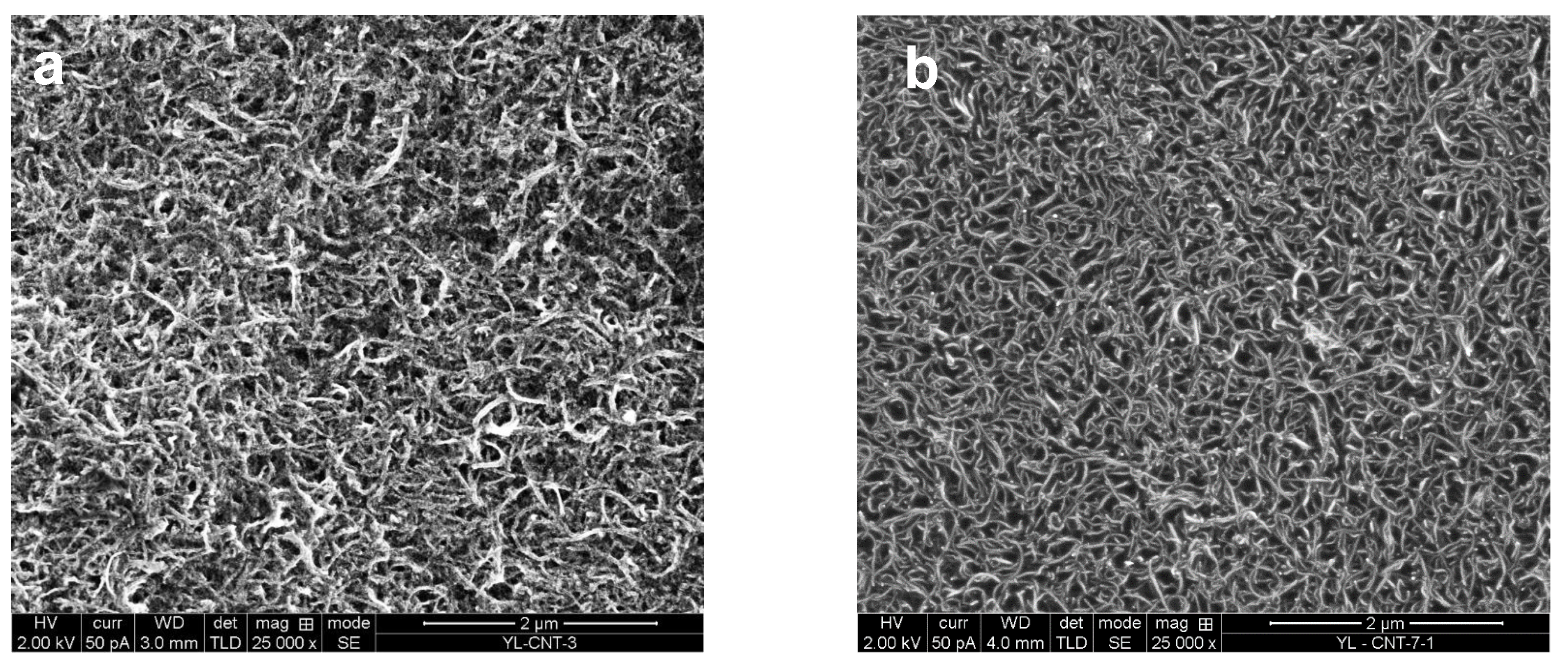 Coatings 10 01101 g001