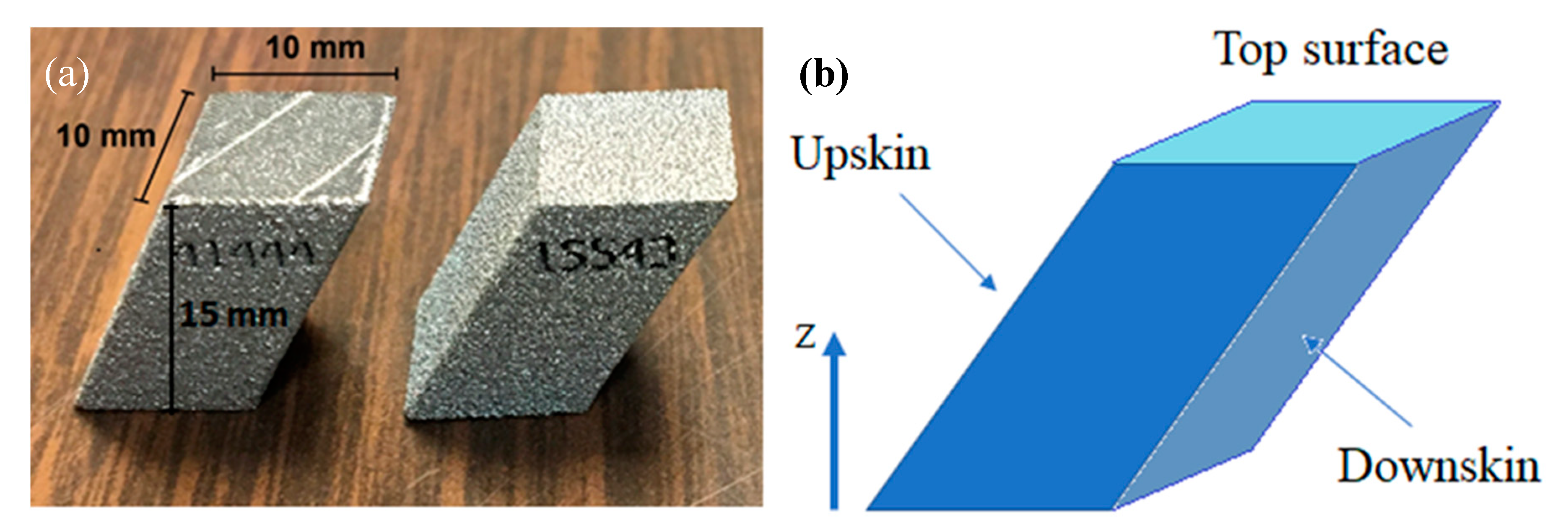 Coatings 10 01104 g001
