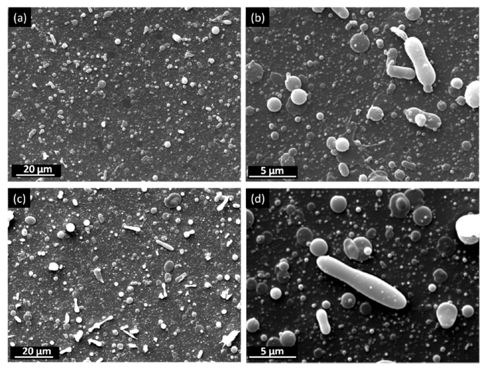 Coatings 10 01105 g003 Coatings 10 01105 g003