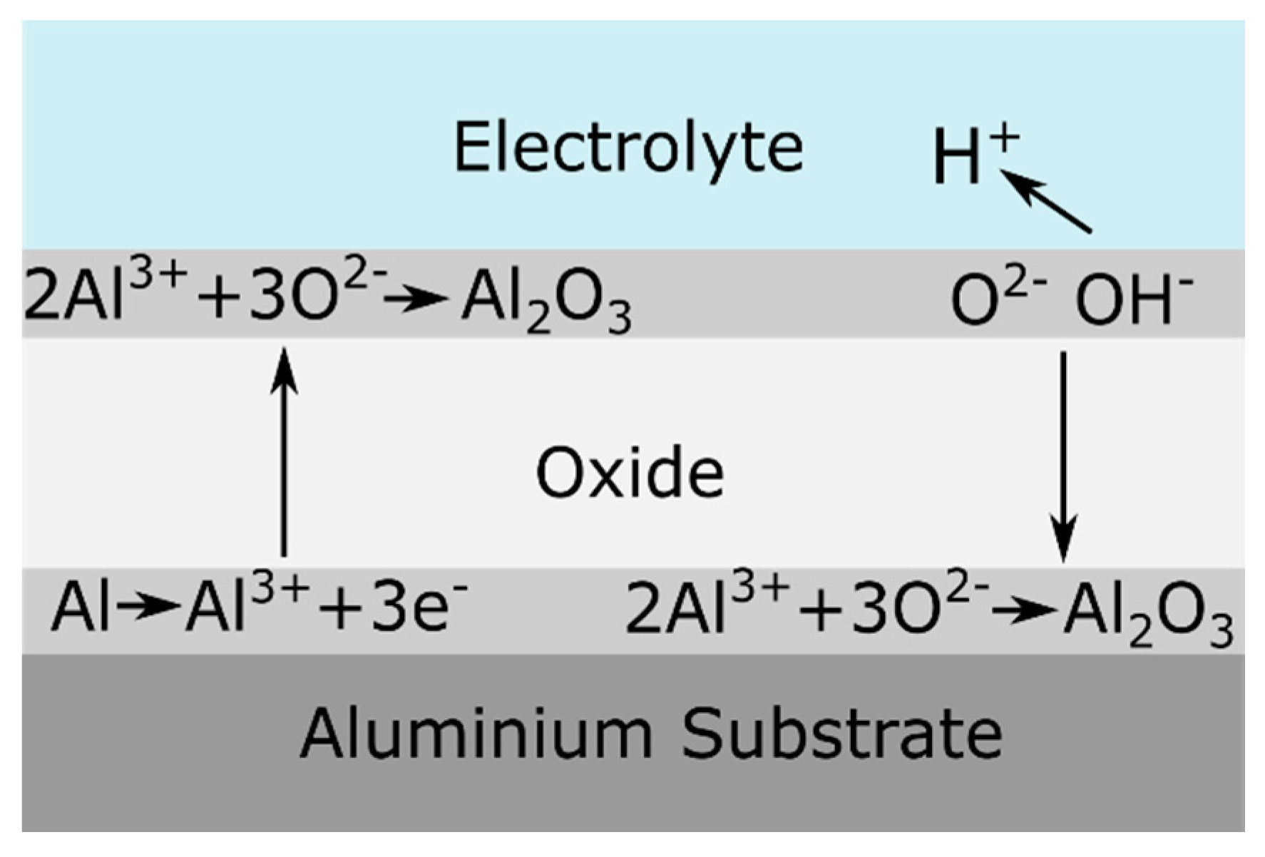 Coatings 10 01106 g003 Coatings 10 01106 g003