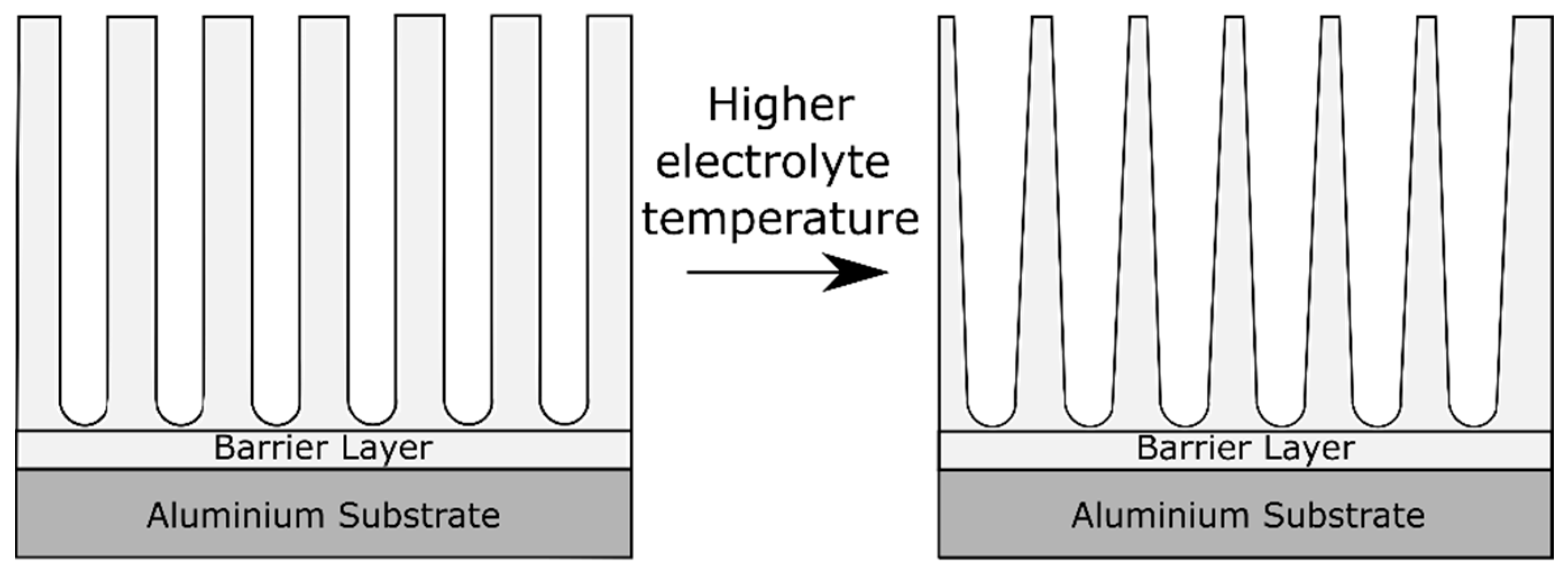 Coatings 10 01106 g007 Coatings 10 01106 g007