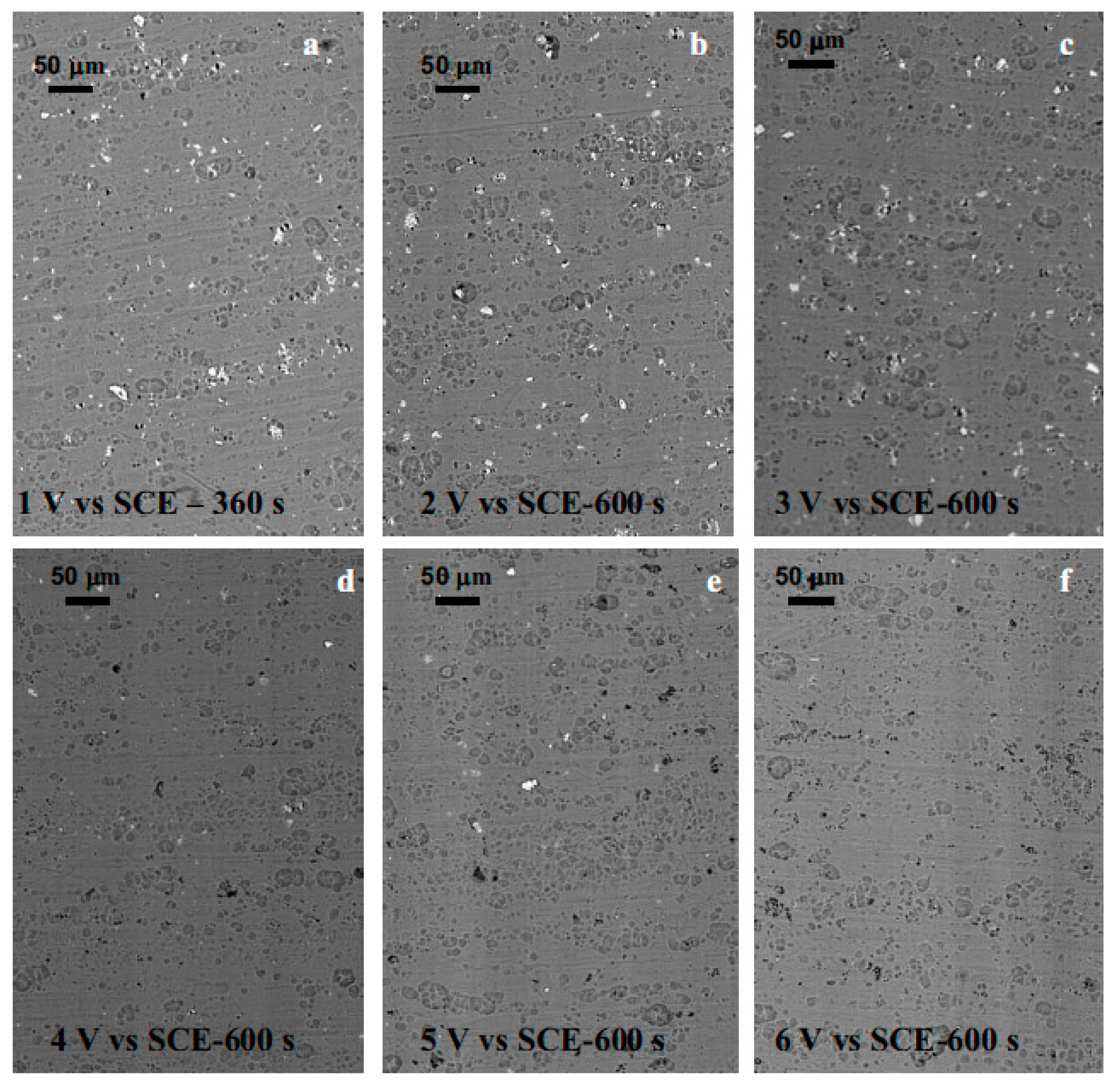Coatings 10 01106 g010 Coatings 10 01106 g010