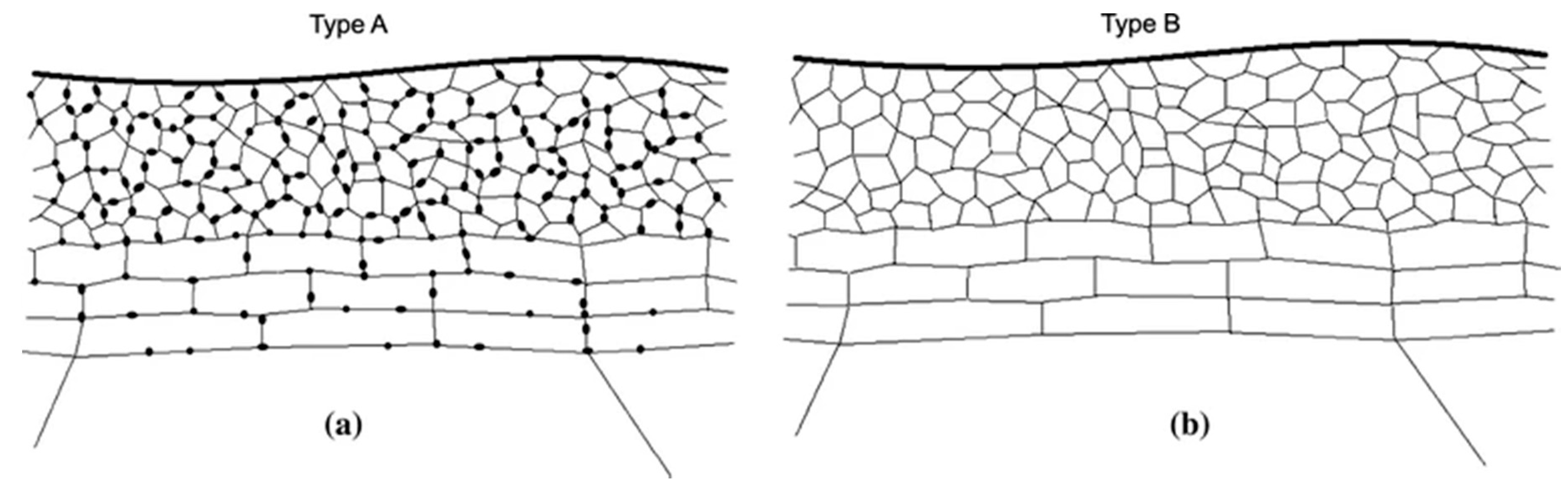 Coatings 10 01106 g014 Coatings 10 01106 g014
