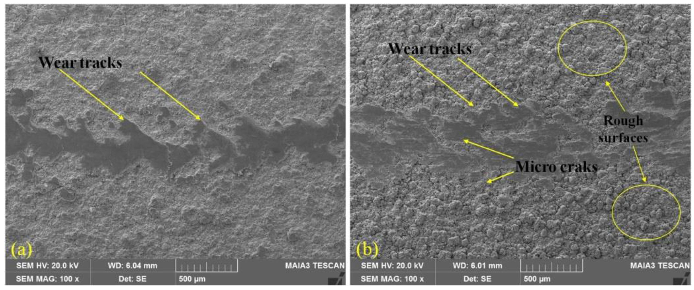 Coatings 10 01107 g003