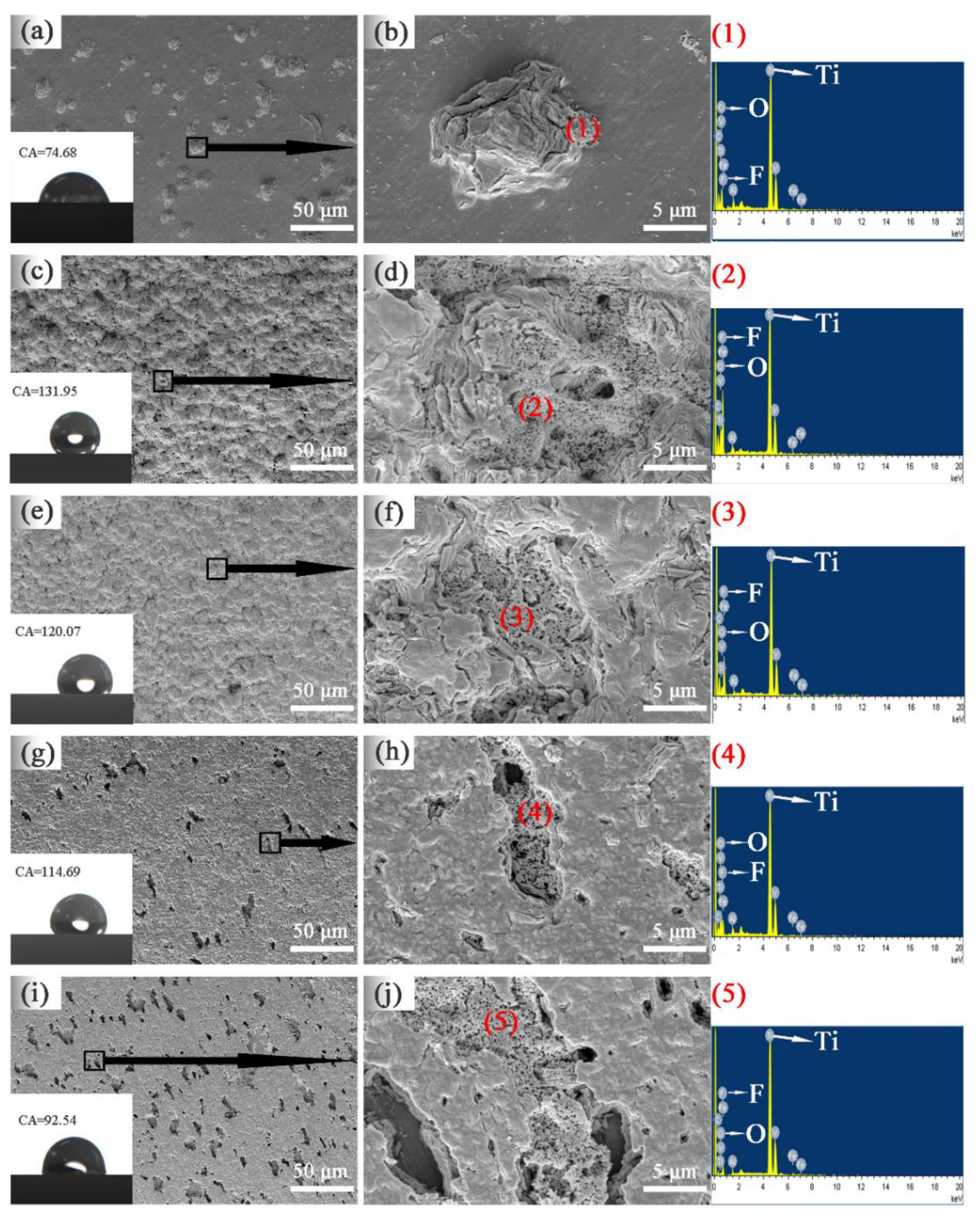Coatings 10 01109 g002 Coatings 10 01109 g002