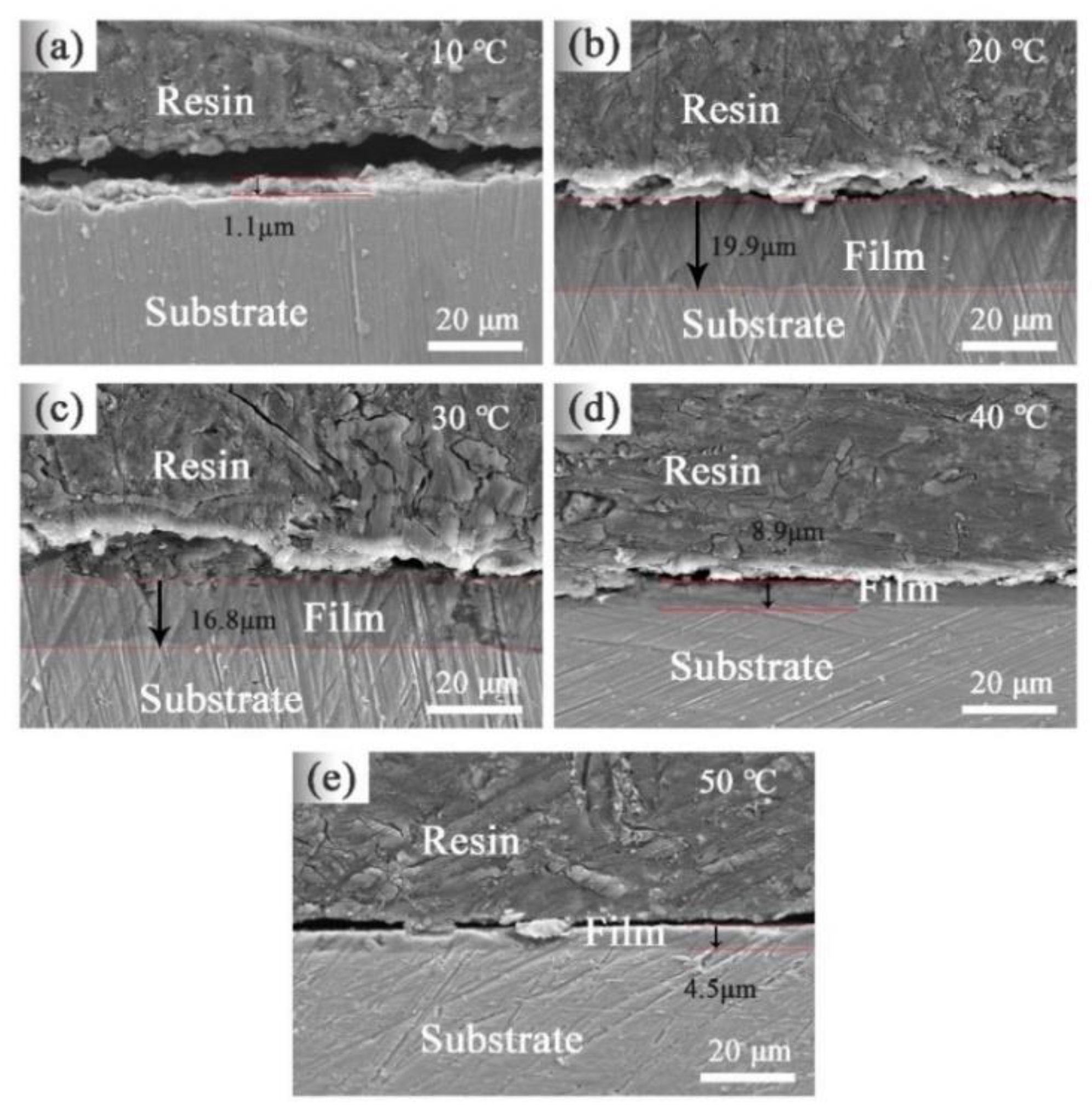 Coatings 10 01109 g005 Coatings 10 01109 g005