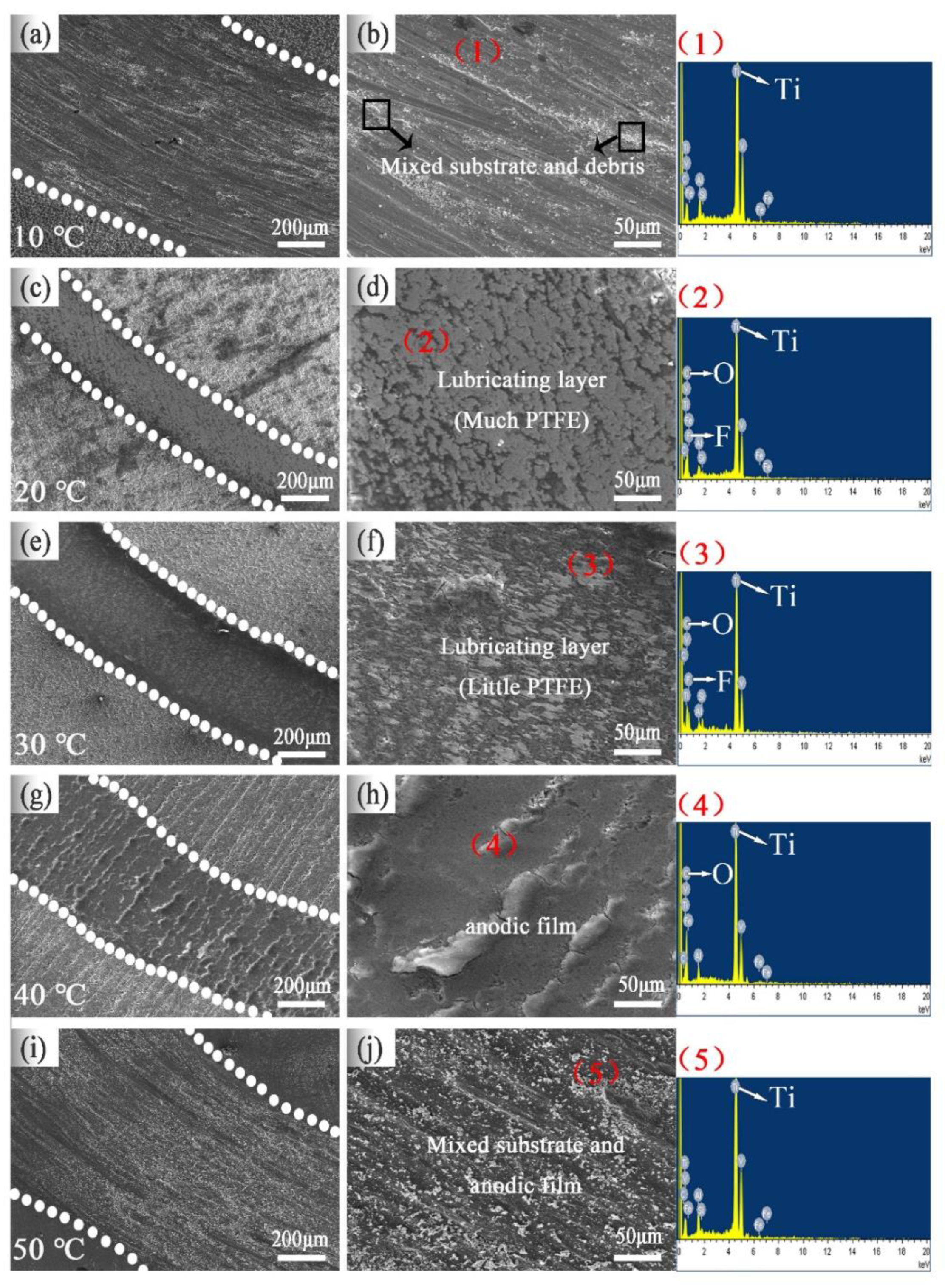 Coatings 10 01109 g012 Coatings 10 01109 g012