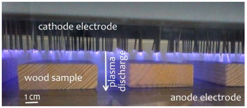 Coatings 10 01111 g001 Coatings 10 01111 g001