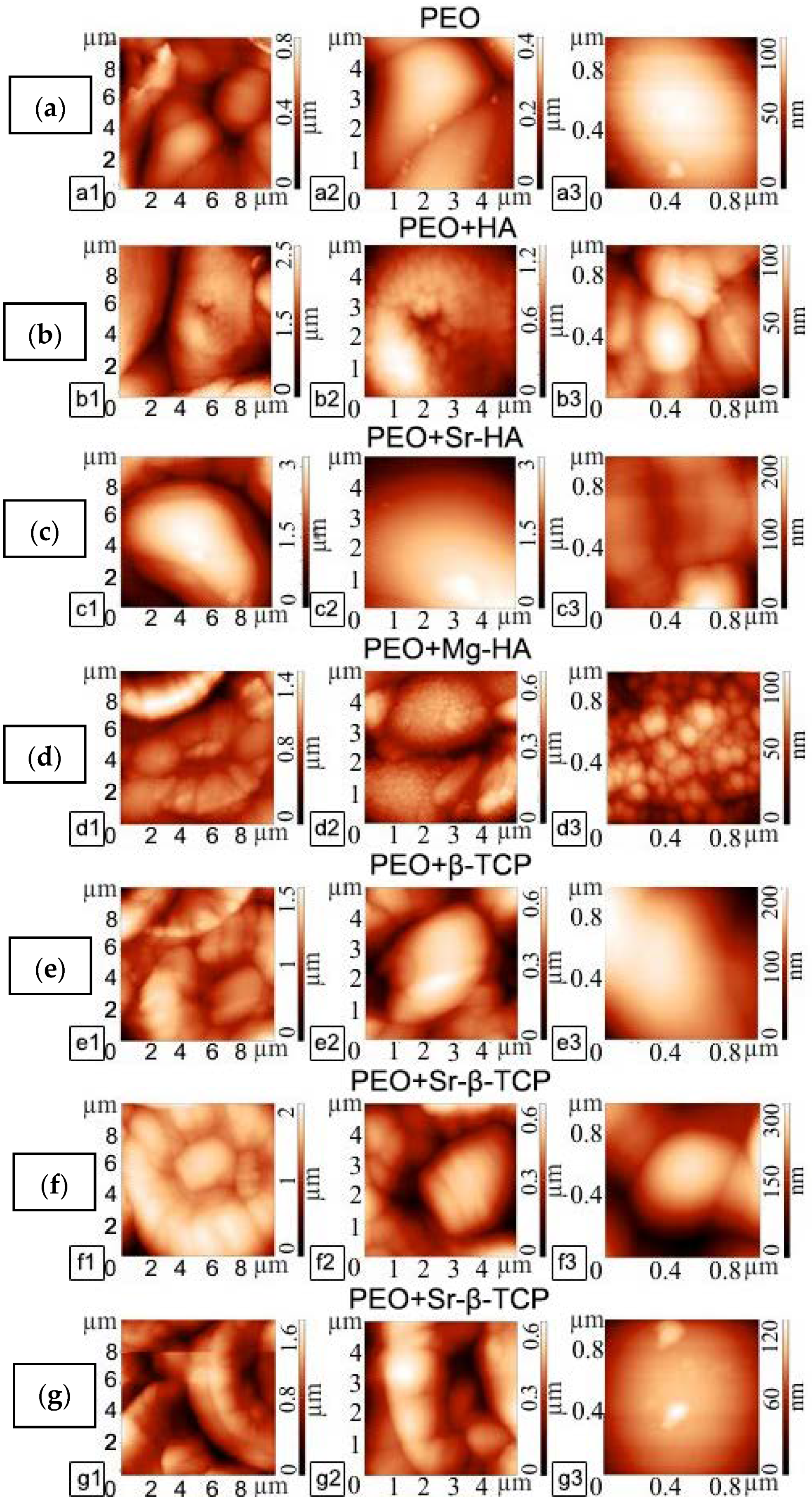 Coatings 10 01113 g002 Coatings 10 01113 g002