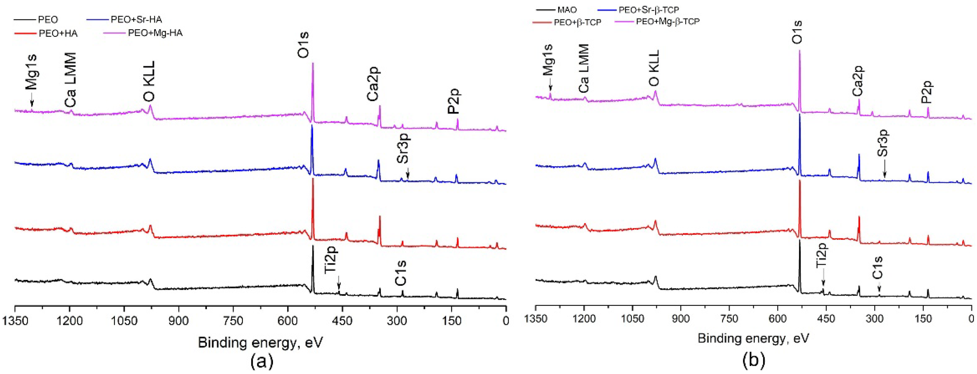 Coatings 10 01113 g004 Coatings 10 01113 g004
