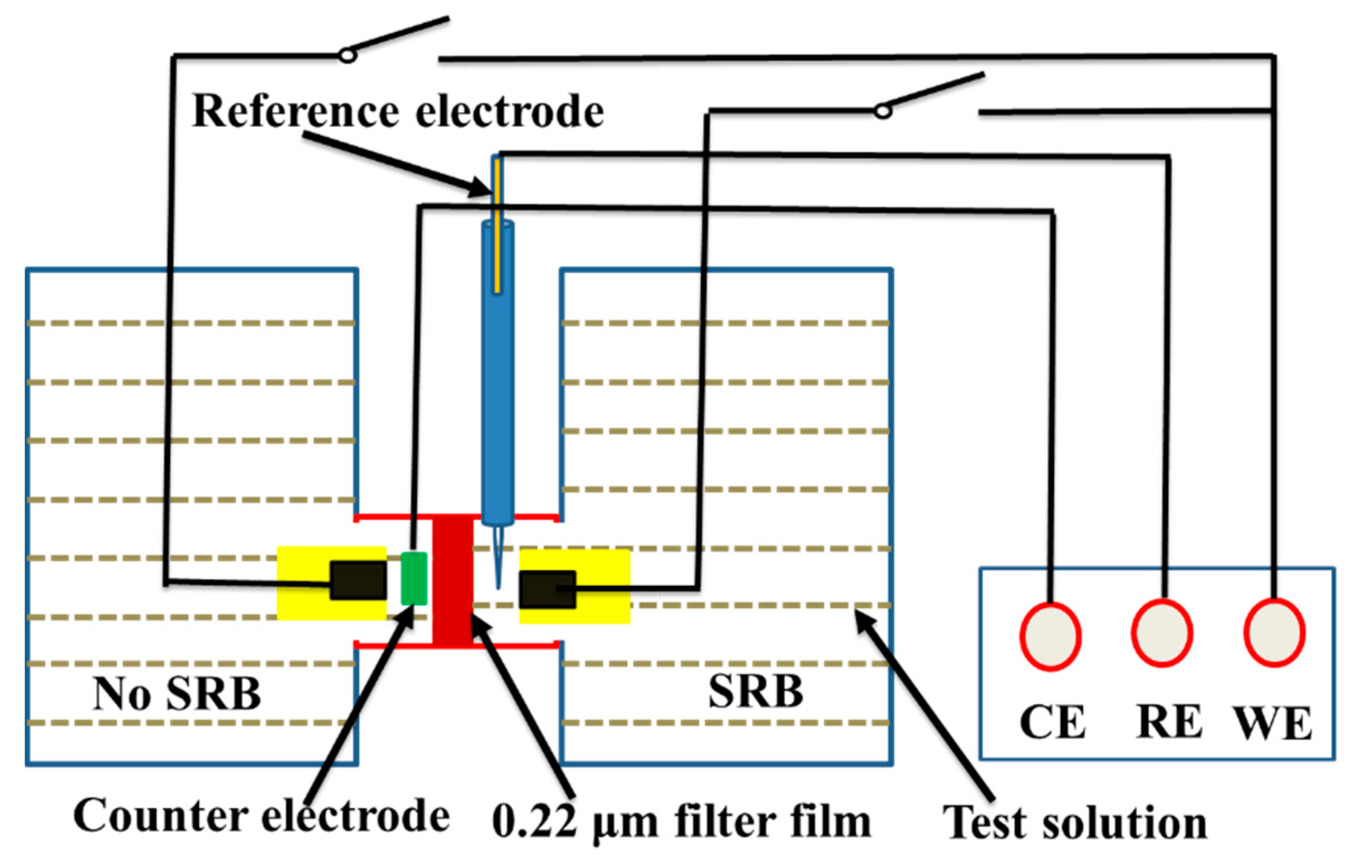 Coatings 10 01116 g001