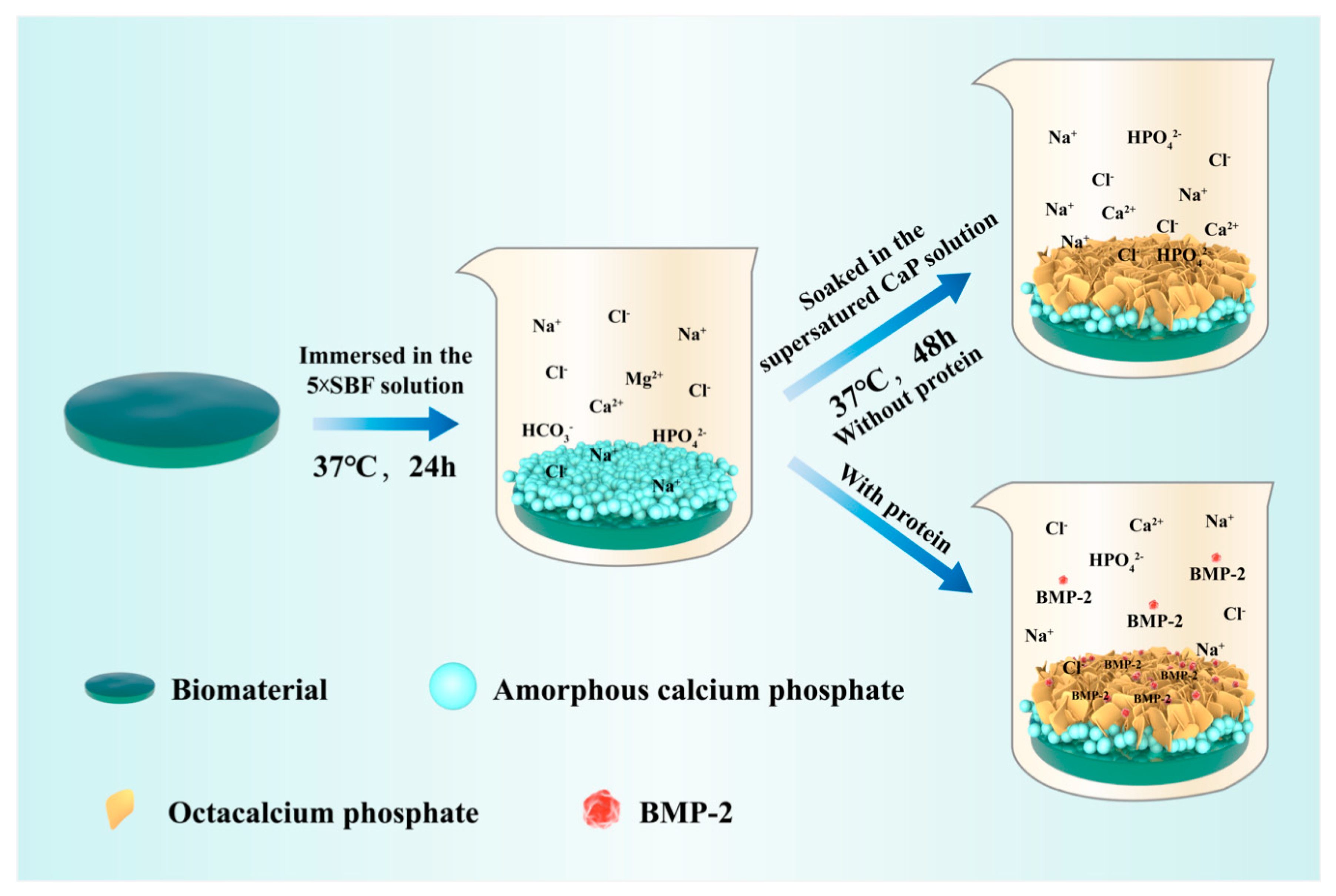 Coatings 10 01118 g001 Coatings 10 01118 g001