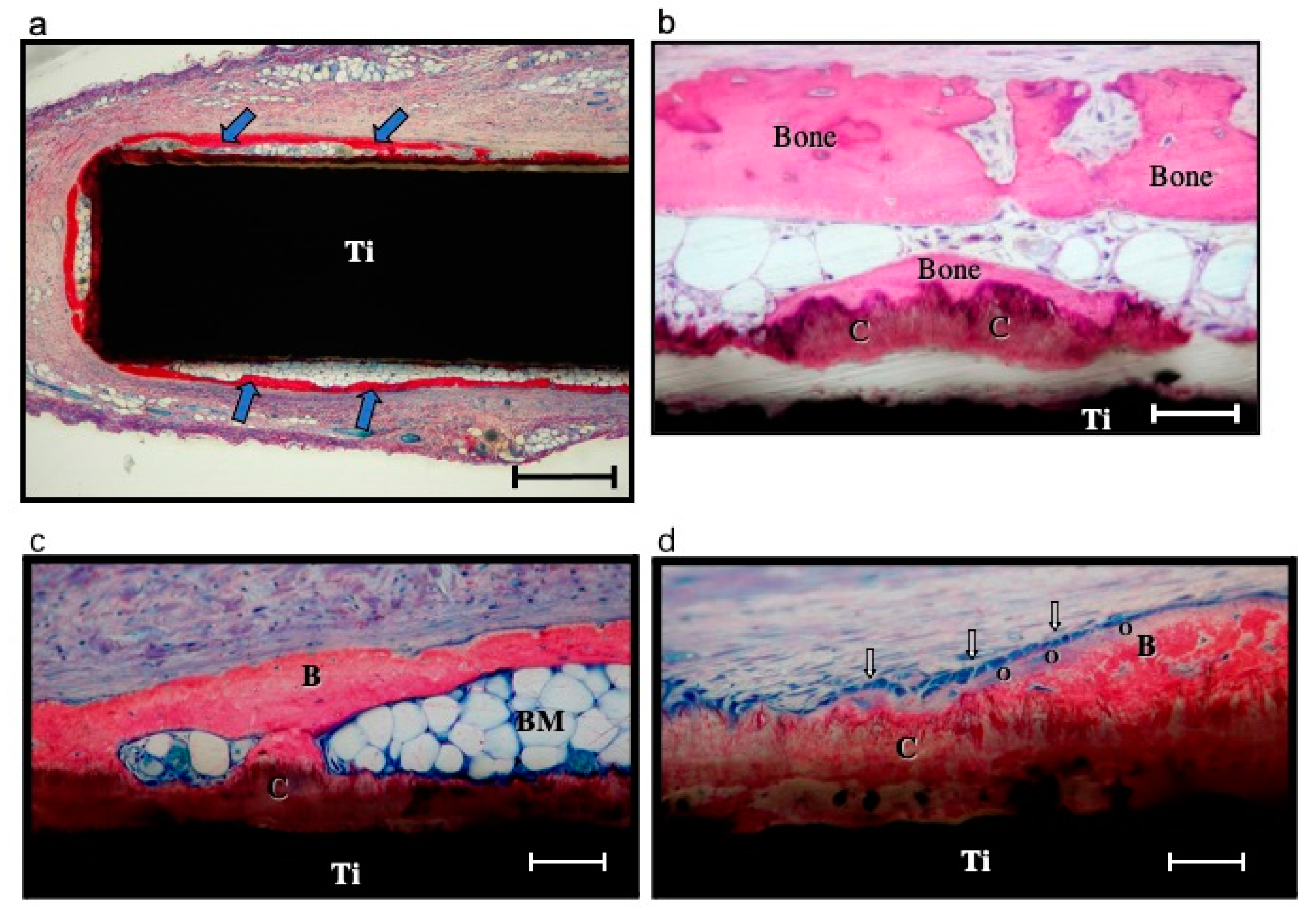 Coatings 10 01118 g003 Coatings 10 01118 g003