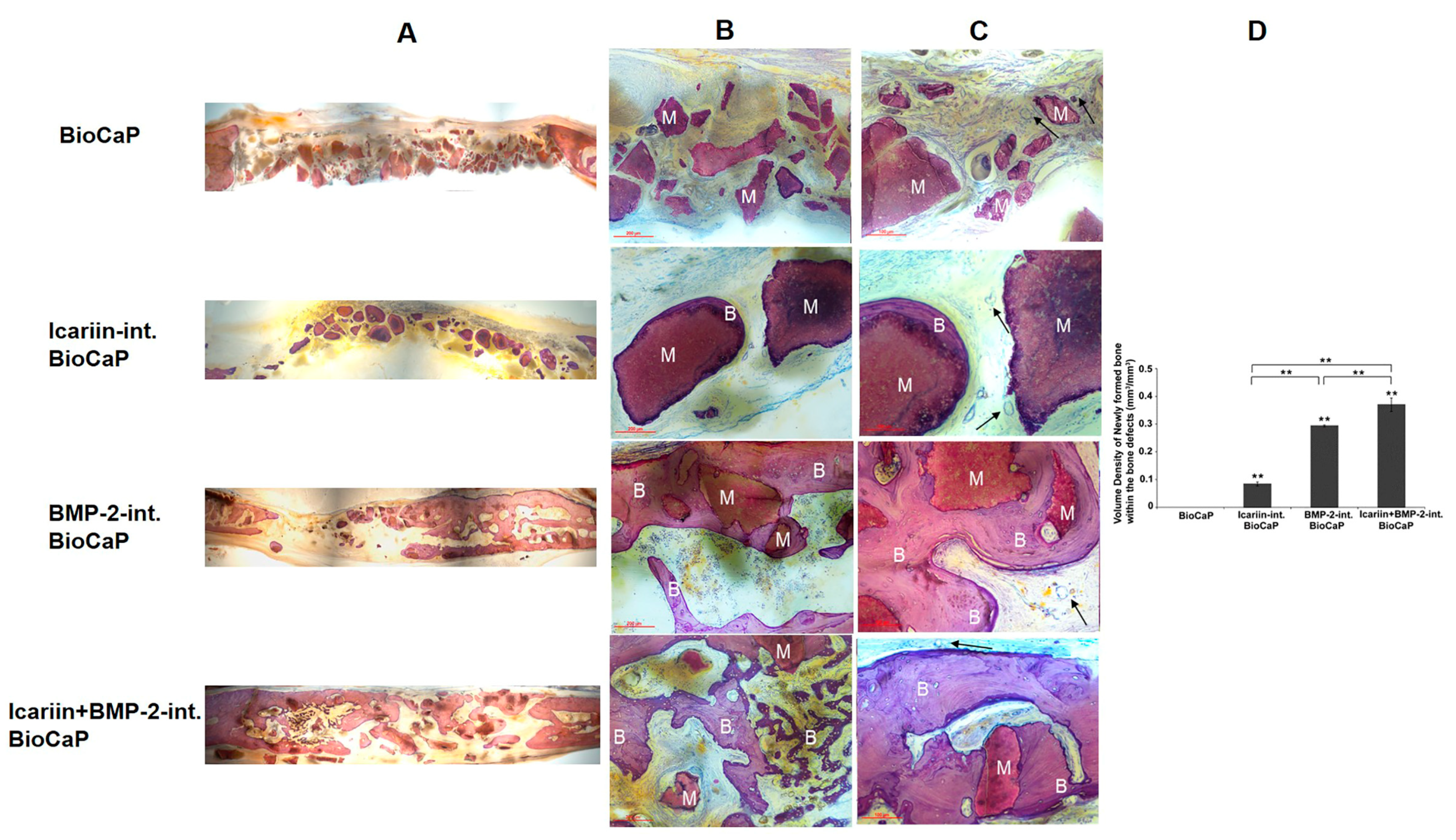 Coatings 10 01118 g005 Coatings 10 01118 g005