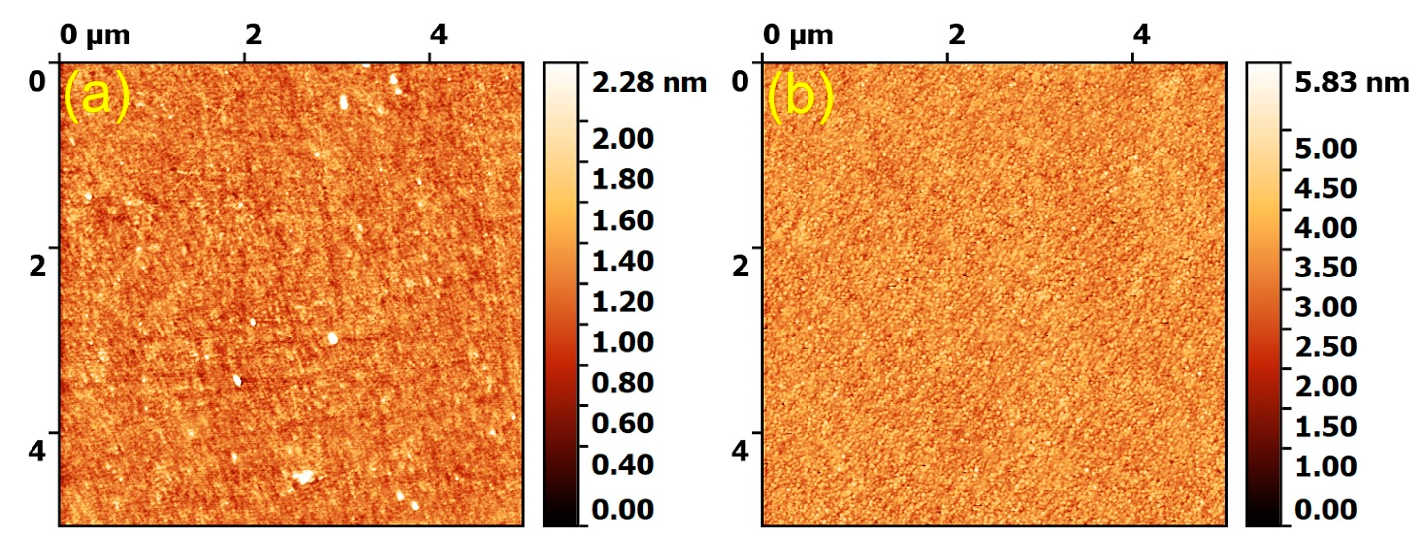 Coatings 10 01119 g001