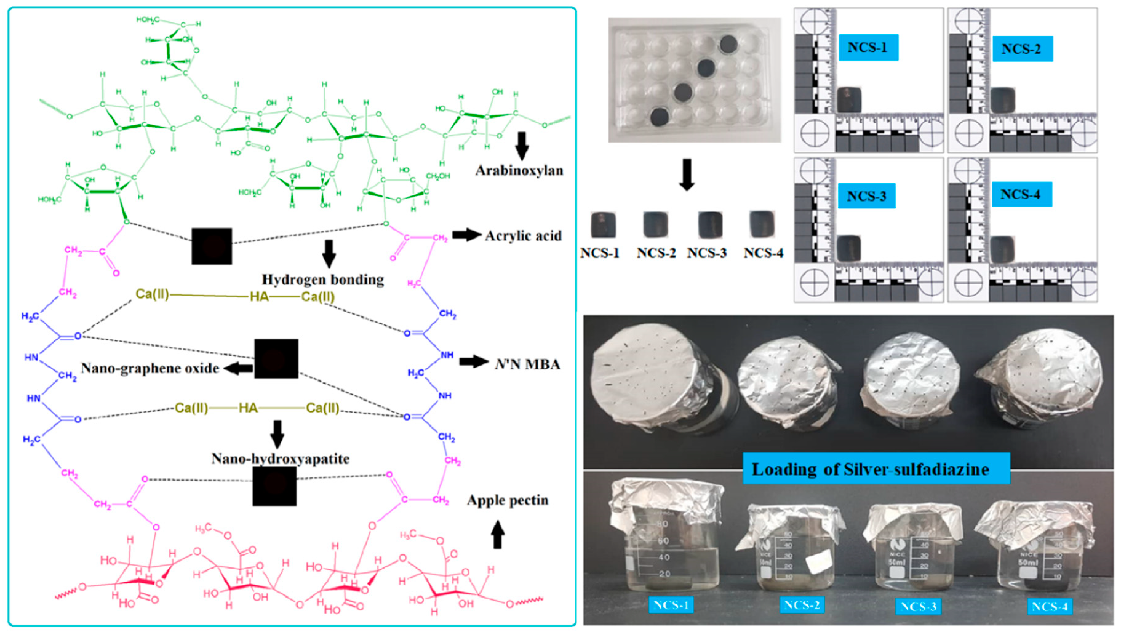 Coatings 10 01120 g002 Coatings 10 01120 g002