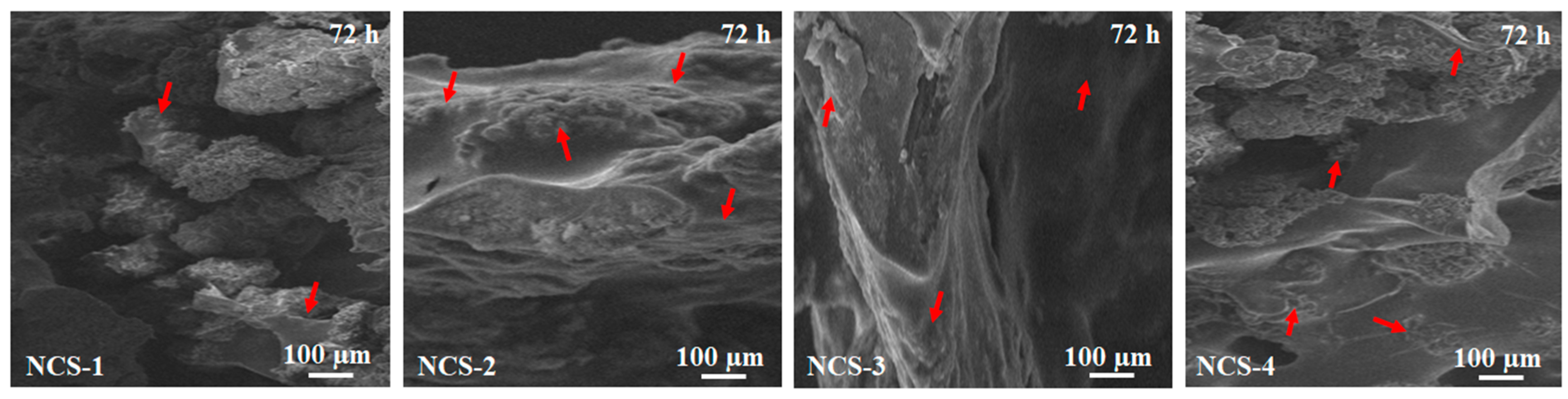 Coatings 10 01120 g010 Coatings 10 01120 g010