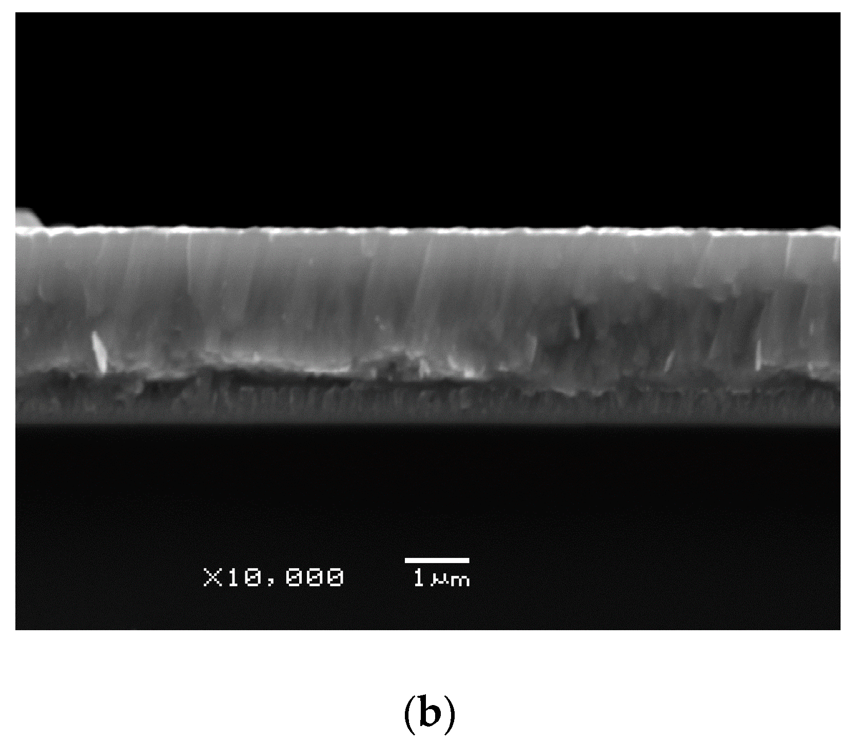 Coatings 10 01121 g001b Coatings 10 01121 g001b